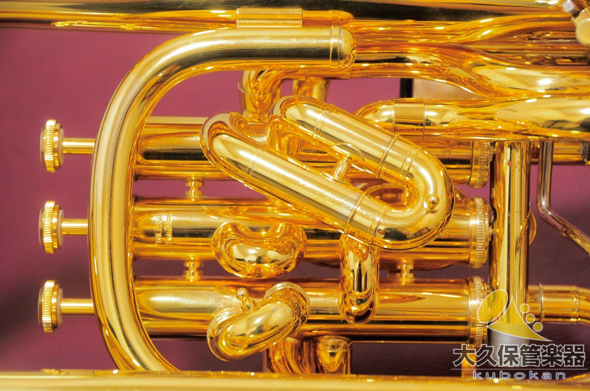 Wilson TA2900BS/GP Euphonium