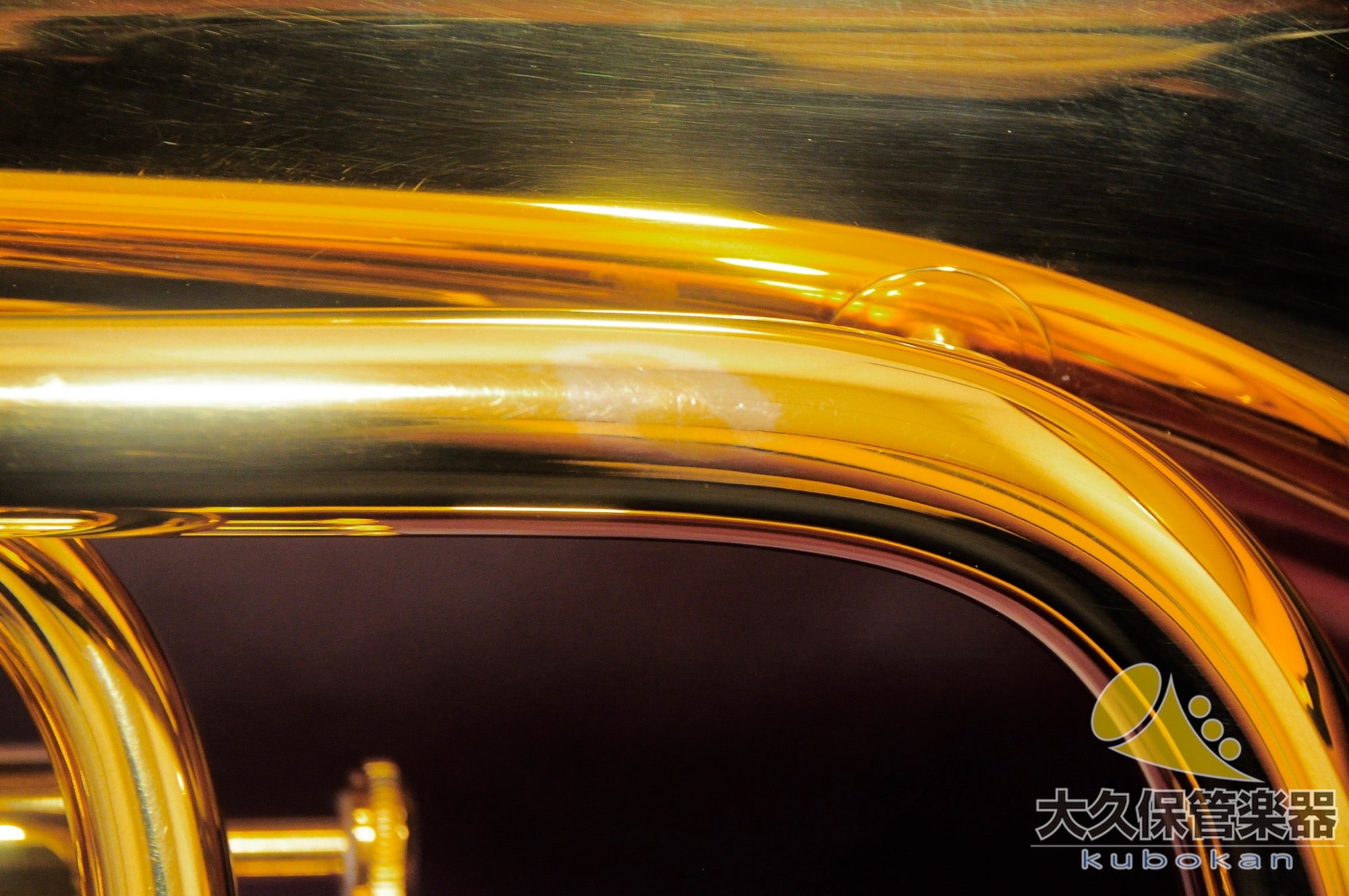 Wilson TA2900BS/GP Euphonium