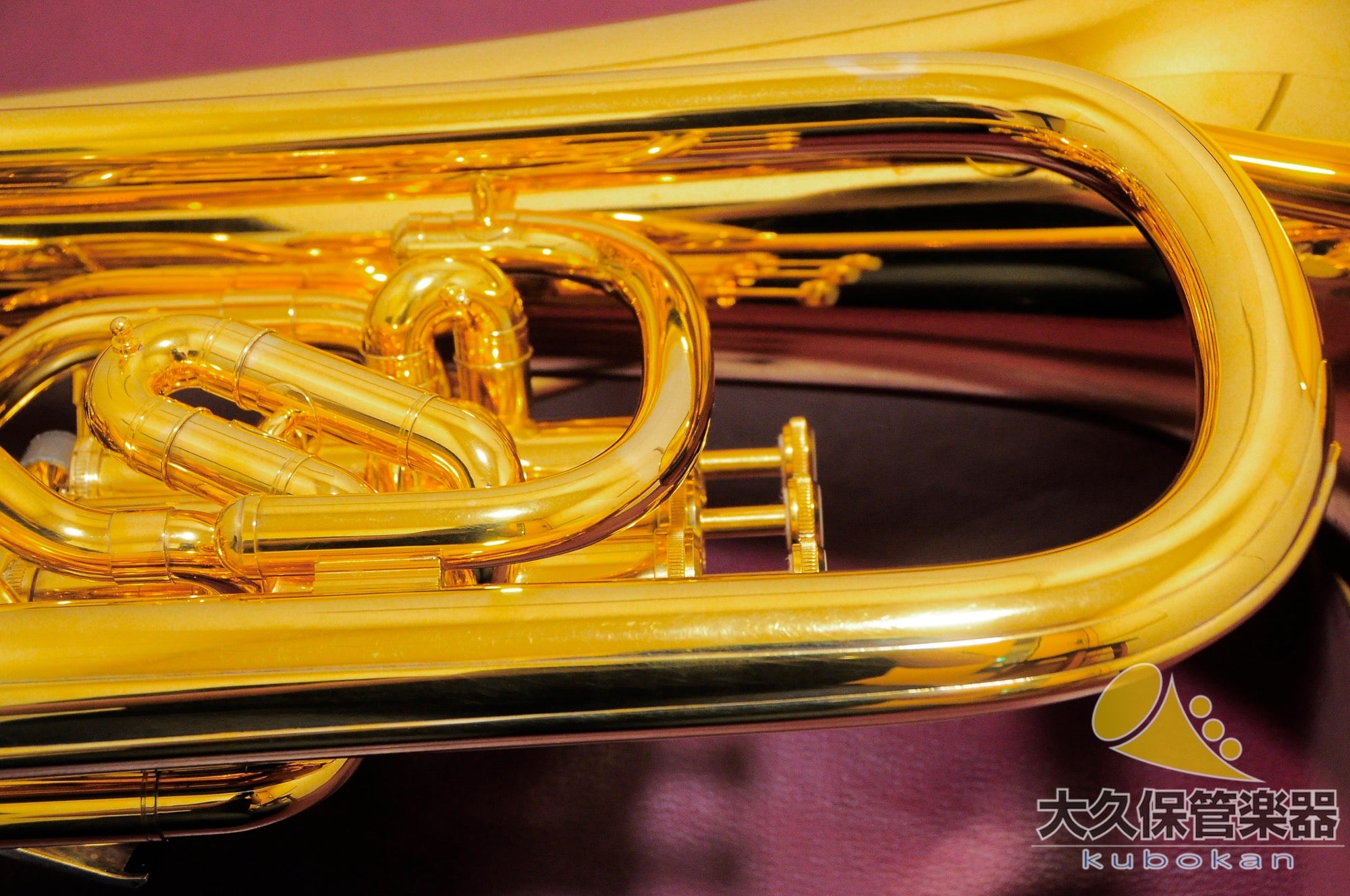 Wilson TA2900BS/GP Euphonium