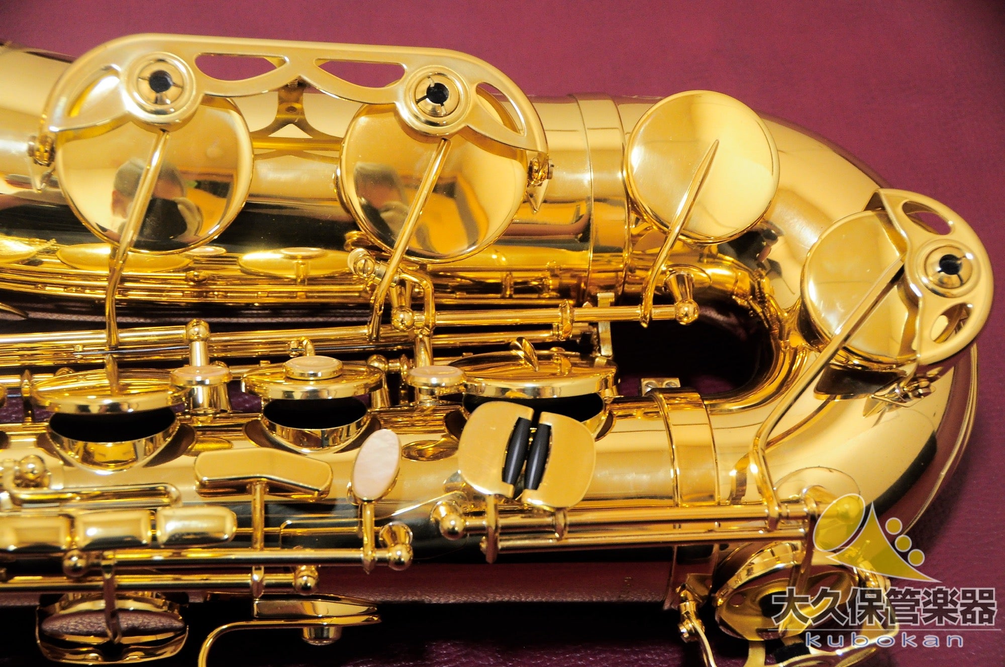 Selmer Paris Reference 54 Altsaxophon