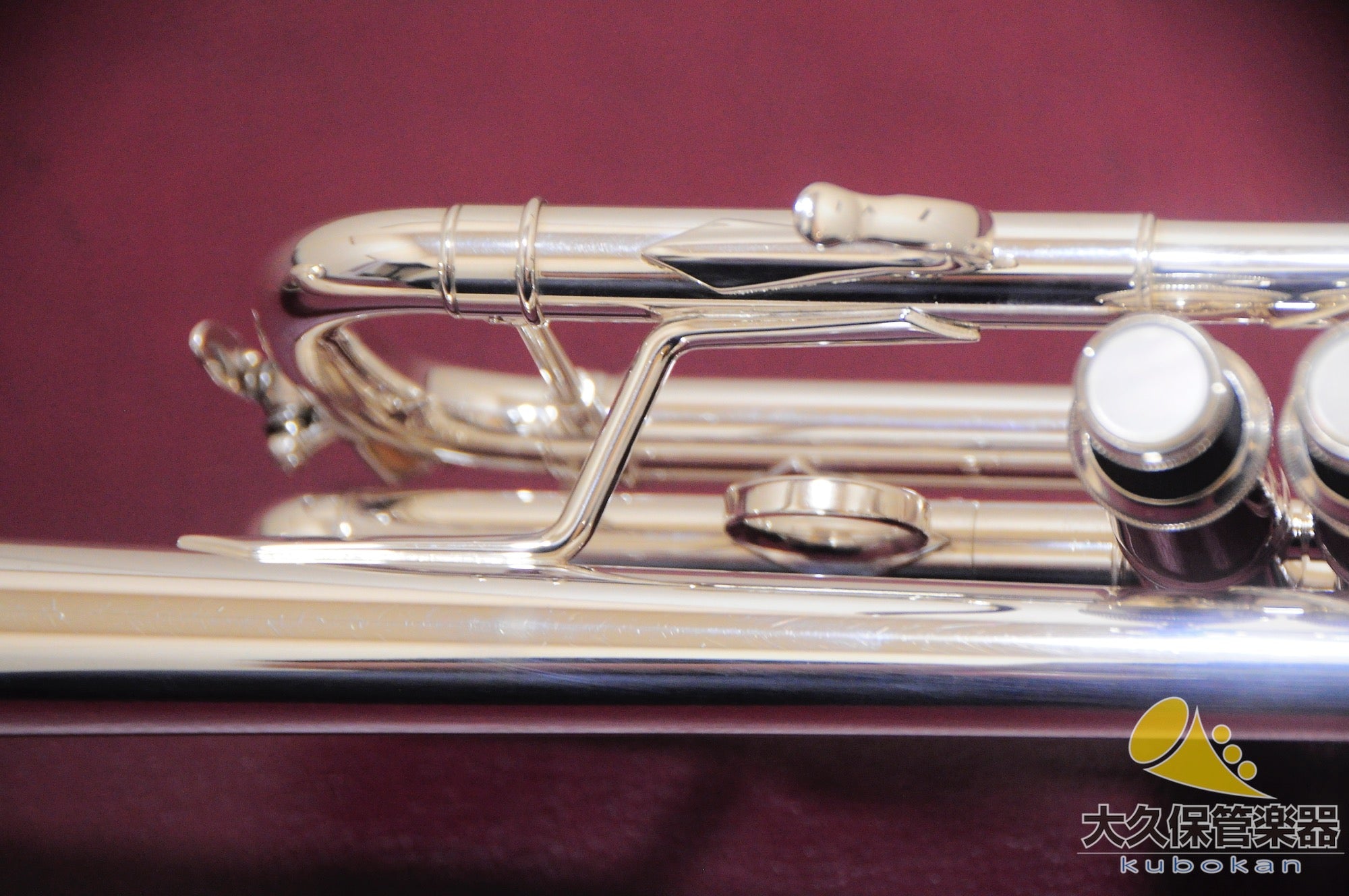 Vincent Bach C180L239/25C GBSP Trompeta con tubo en Do