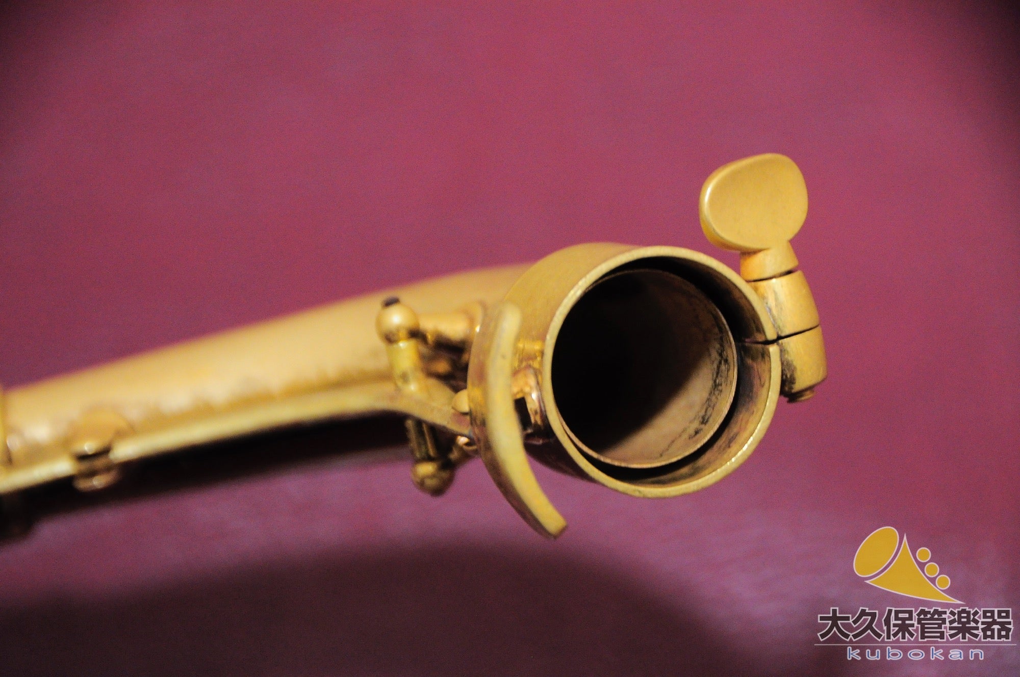 C.G.コーンTransitional 6M “Naked Lady” アルトサクソフォン