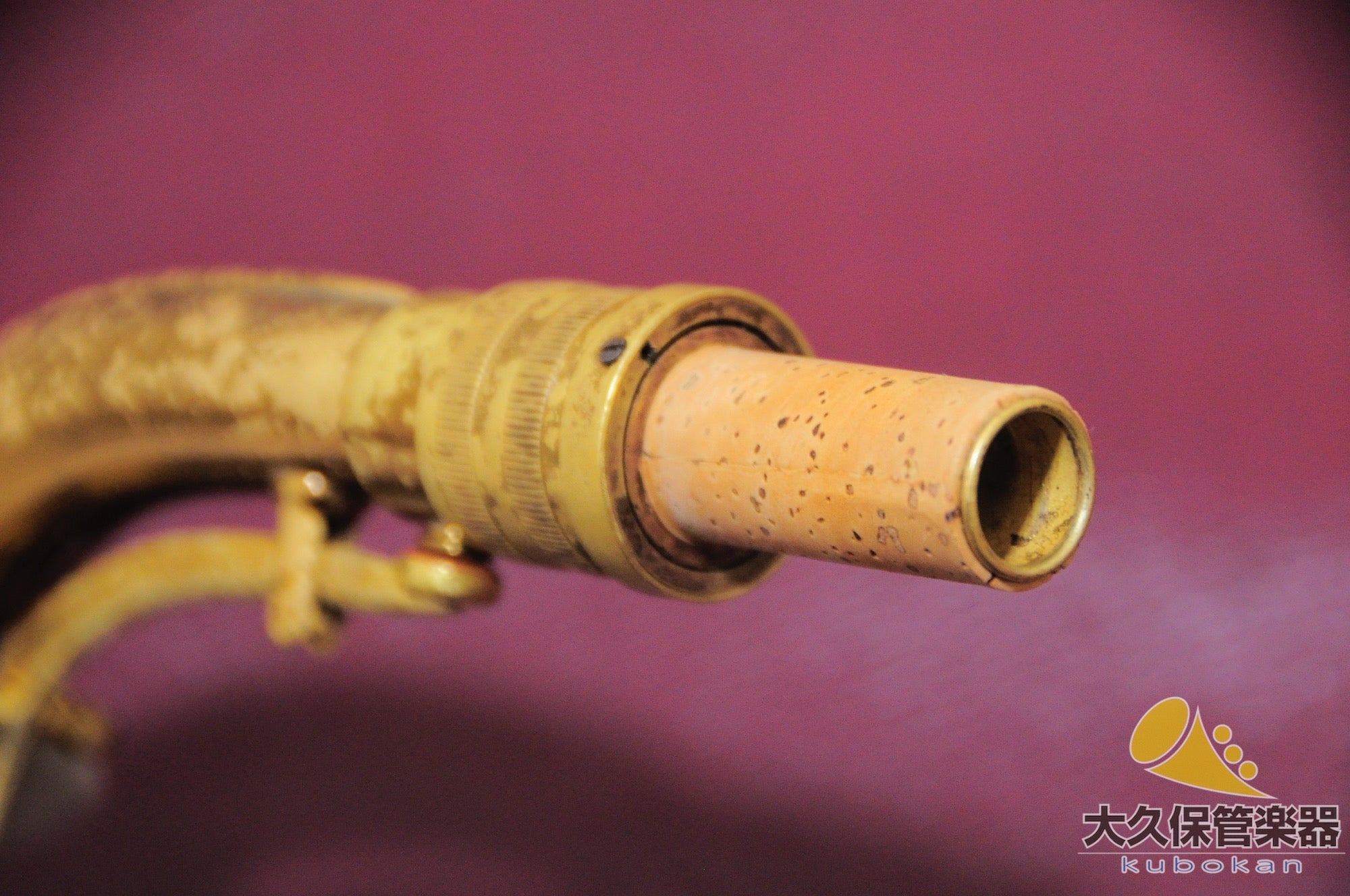 C.G.コーンTransitional 6M “Naked Lady” アルトサクソフォン