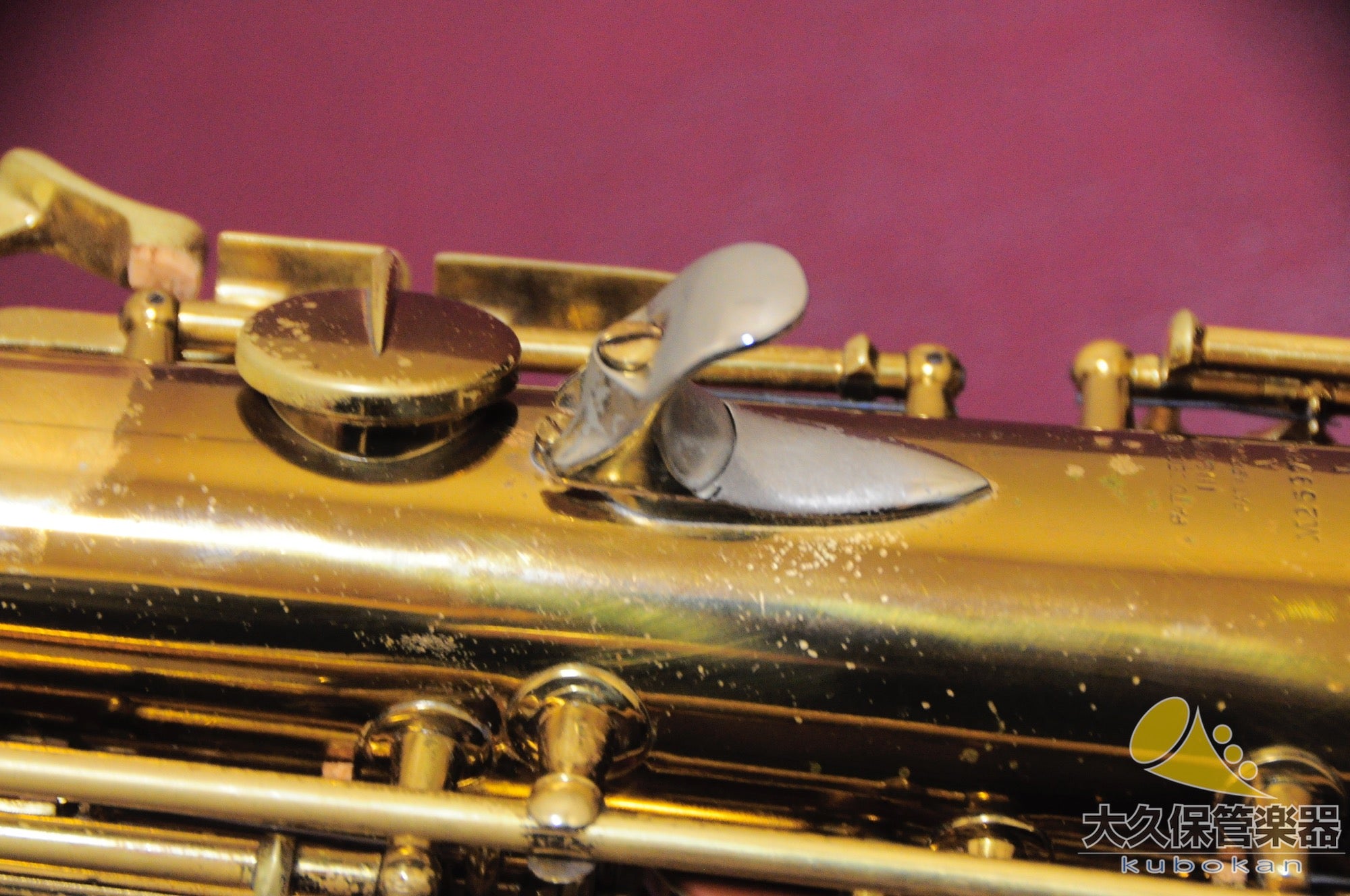 C.G.コーンTransitional 6M “Naked Lady” アルトサクソフォン