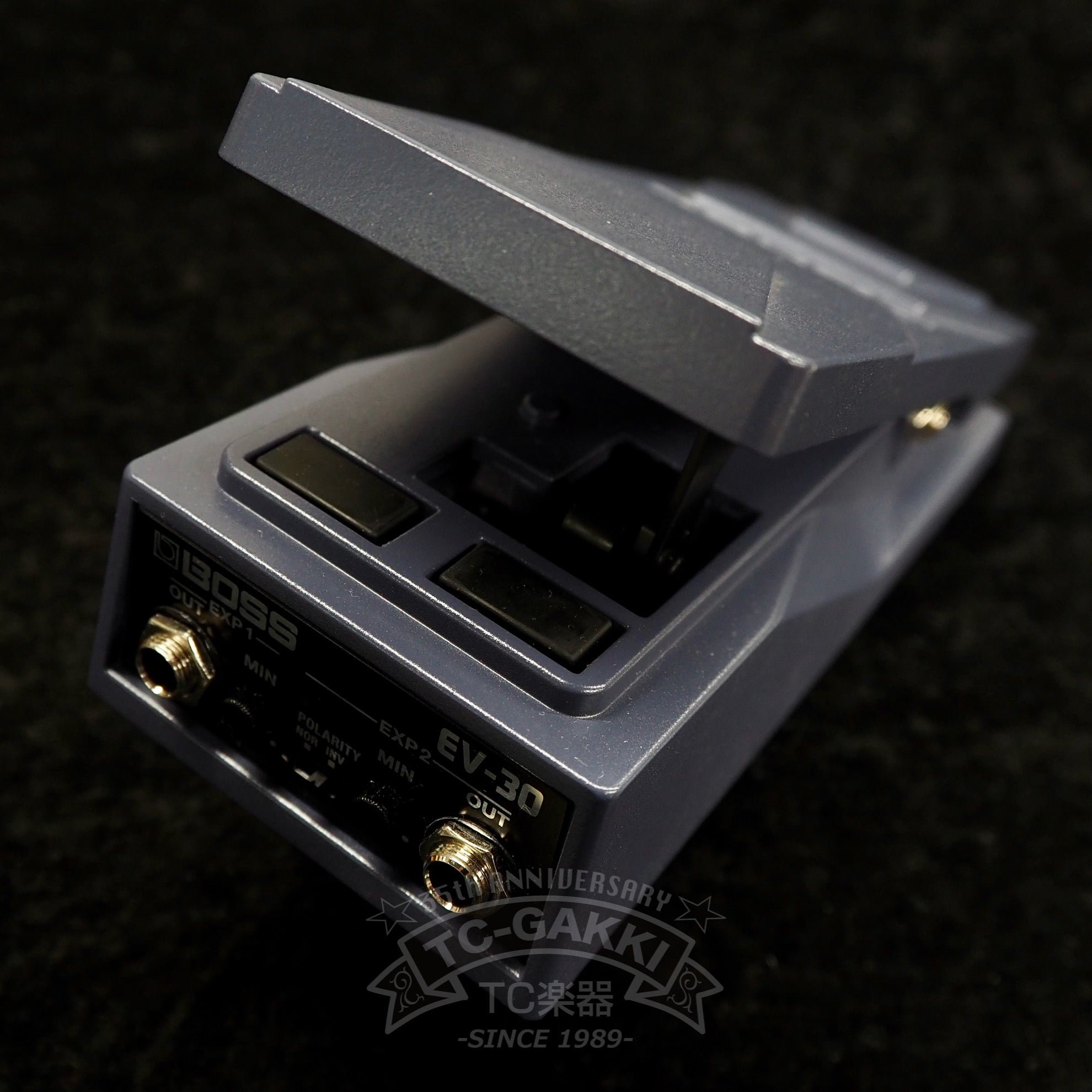 BOSS EV-30 DUAL EXPRESSION PEDAL