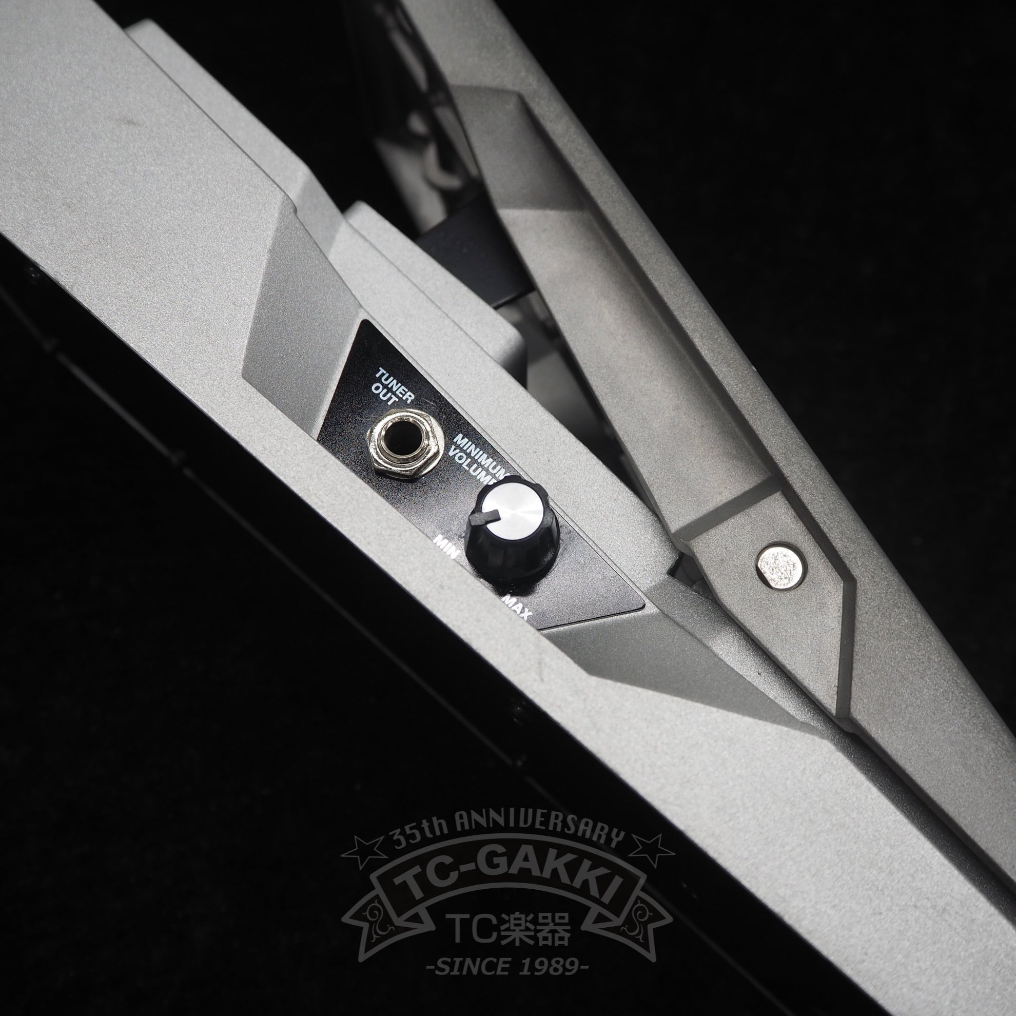 BOSS FV-500H FOOT VOLUME