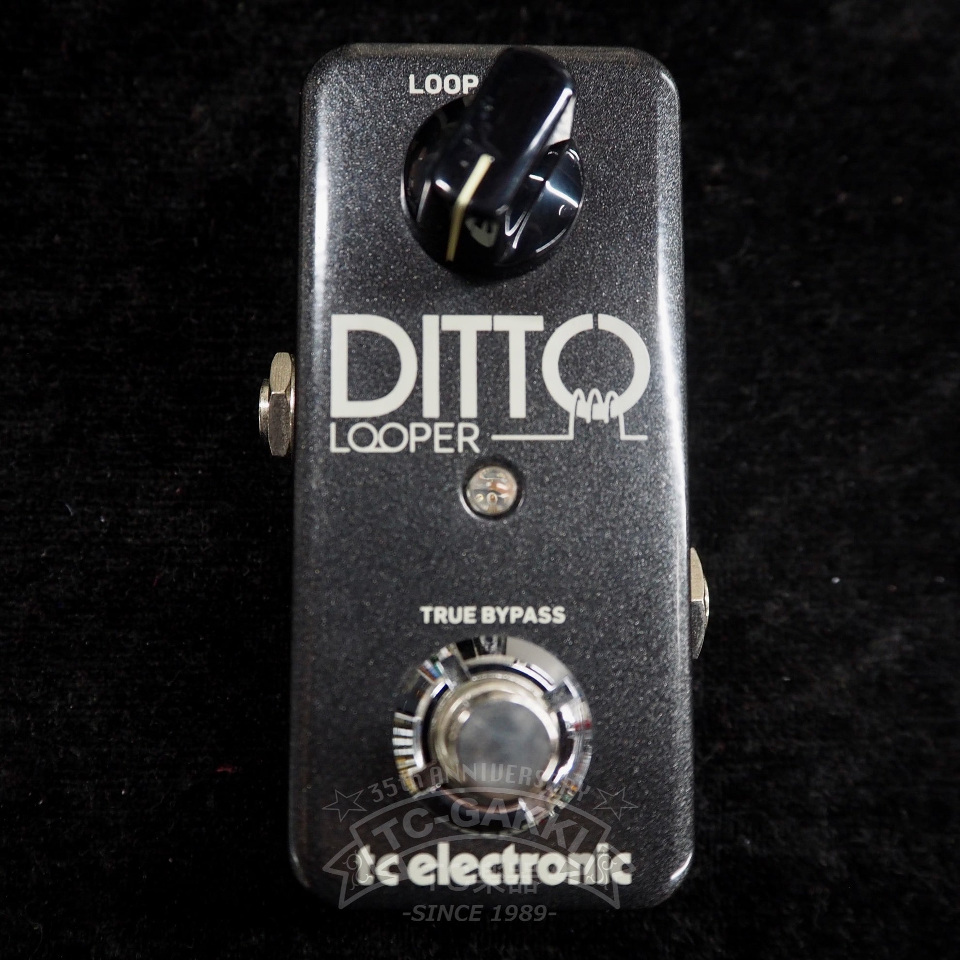 t.c. electronic DITTO LOOPER