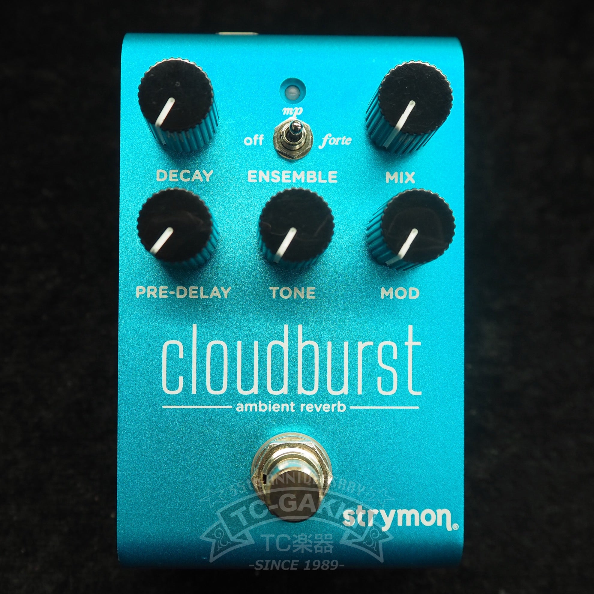 strymon cloudburst ambient reverb + Mini Switch