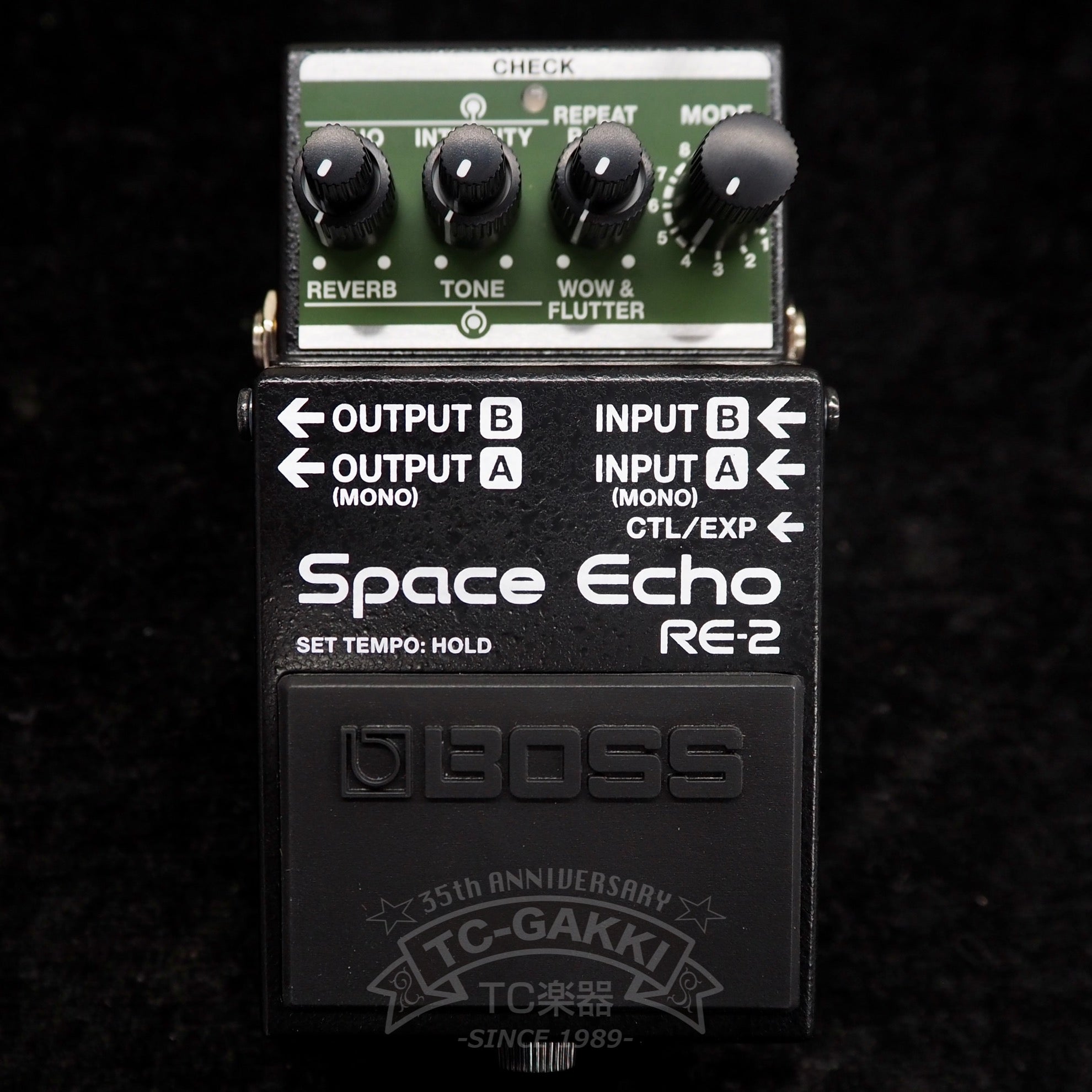 BOSS RE-2 Space Echo