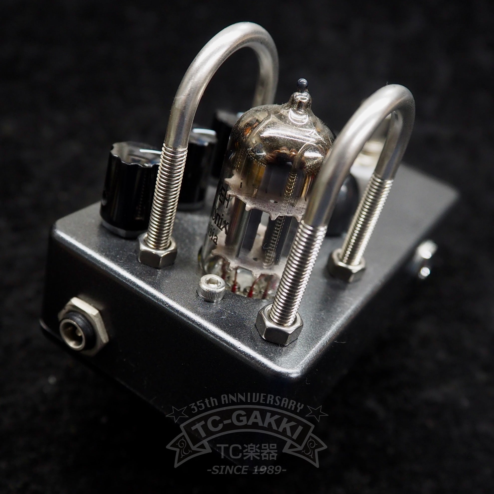 Beyond Beyond Bass Wired 2S