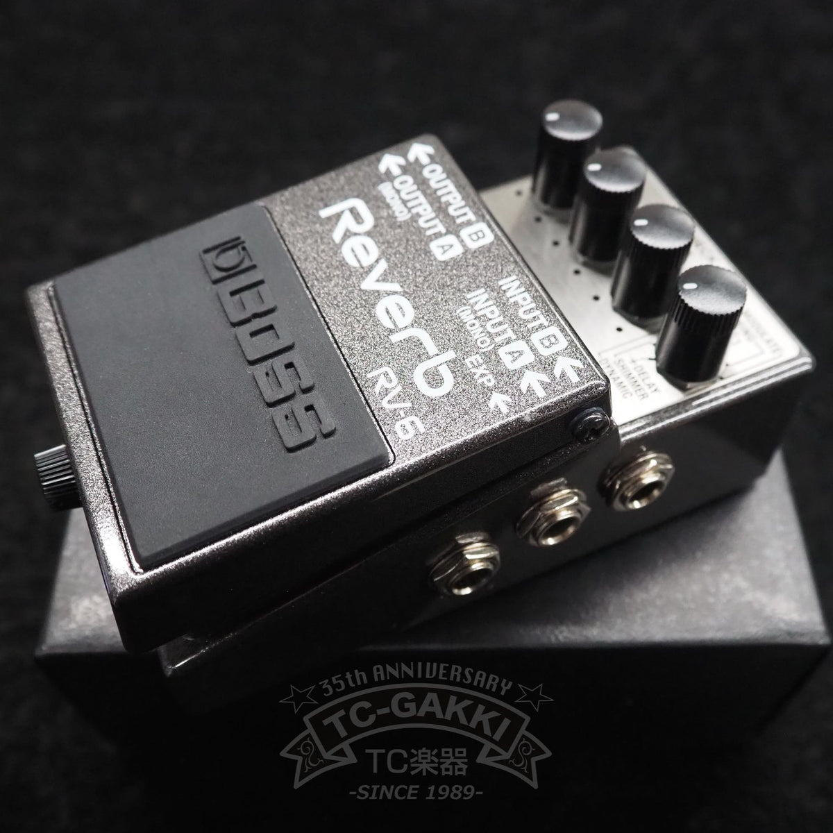 BOSS RV-6 Reverb