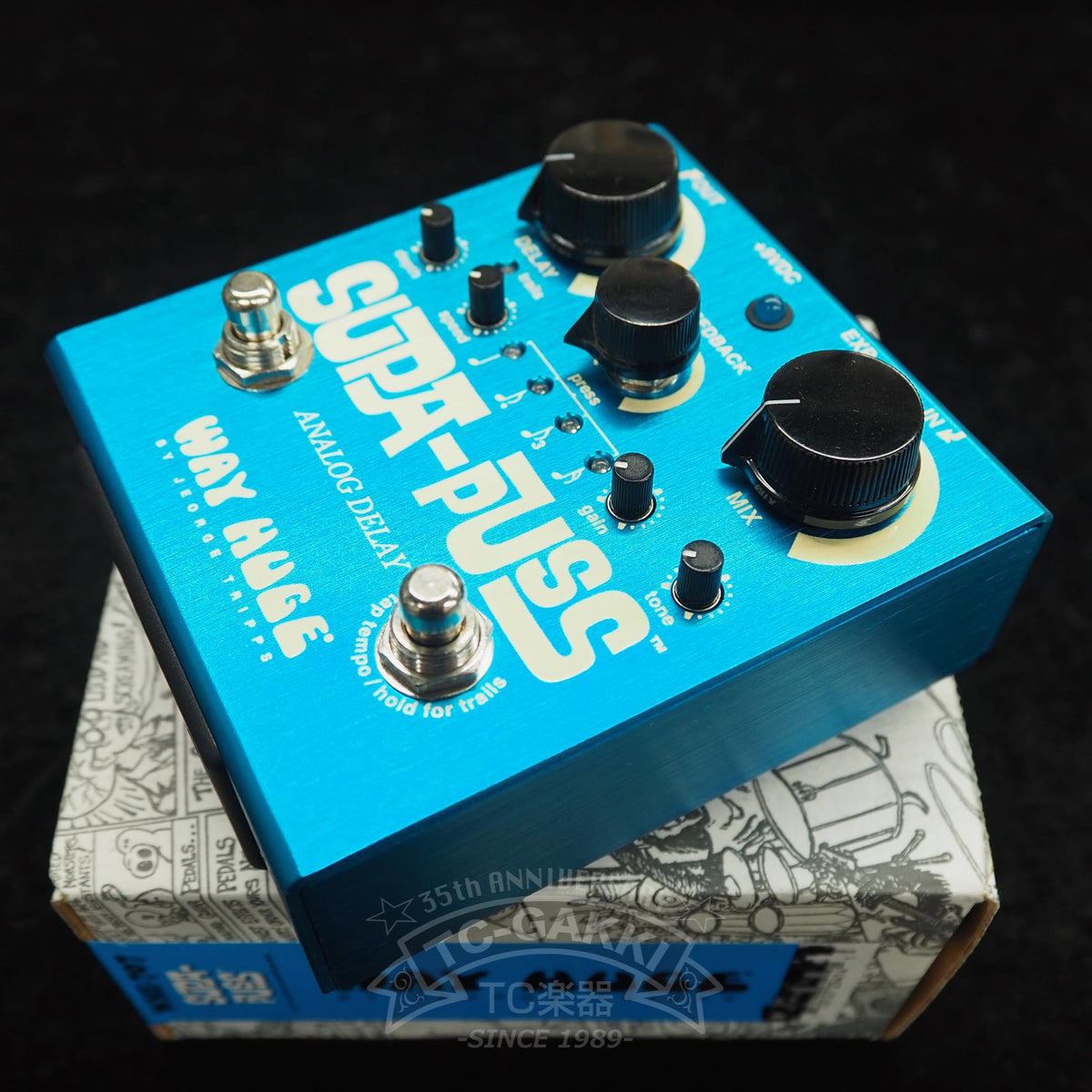 WAY HUGE WHE-707 SUPA-PUSS ANALOG DELAY