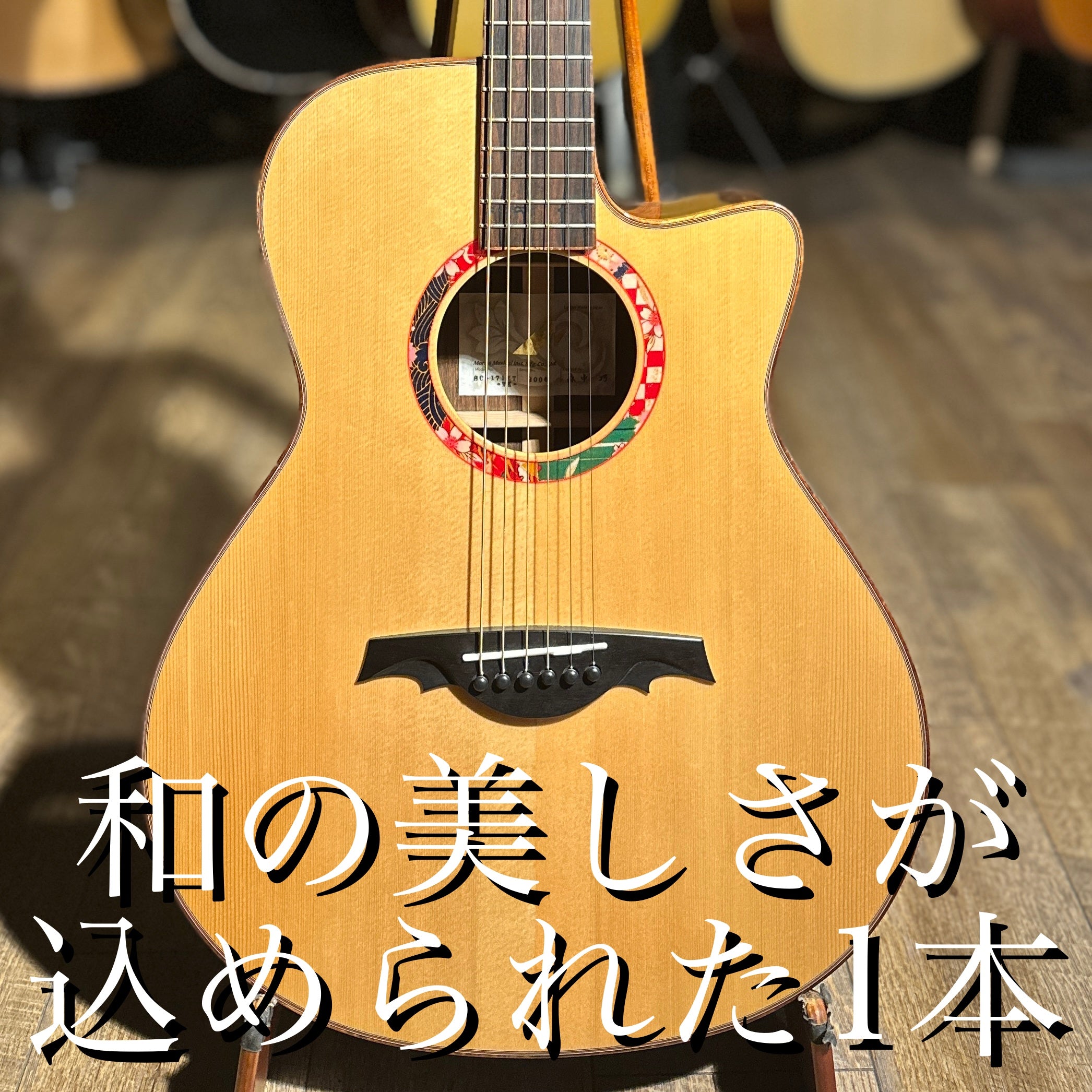 フォークギター HC-313 STD 40th Anniversary