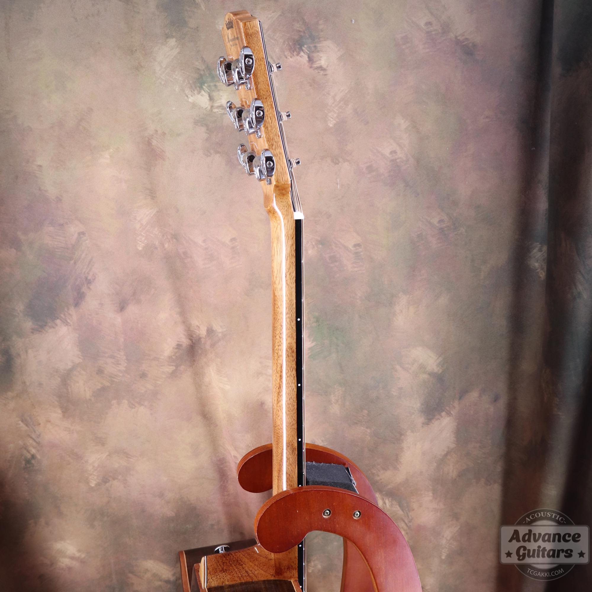 A18GAC2 - EQ - TC楽器 - TCGAKKI