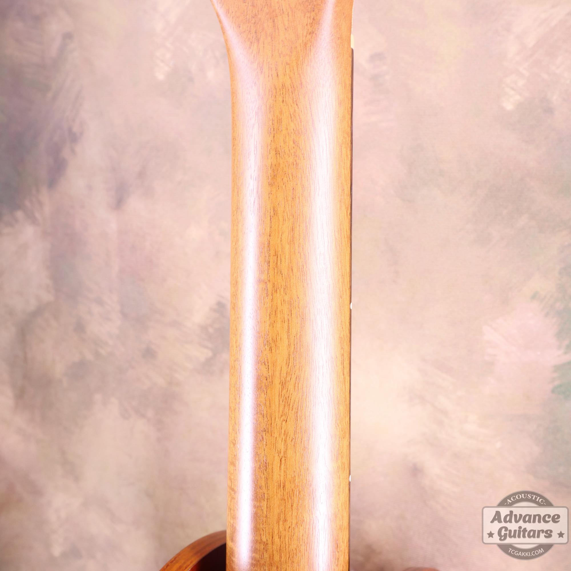 A6 Ultra - TC楽器 - TCGAKKI