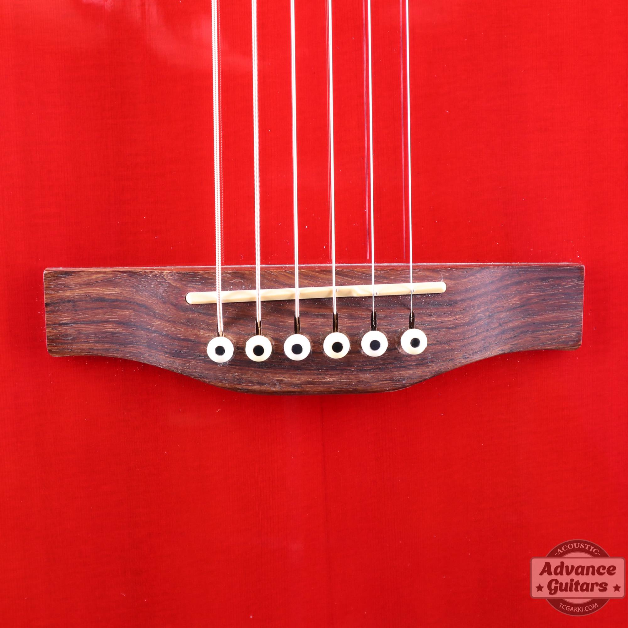 A6 Ultra - TC楽器 - TCGAKKI