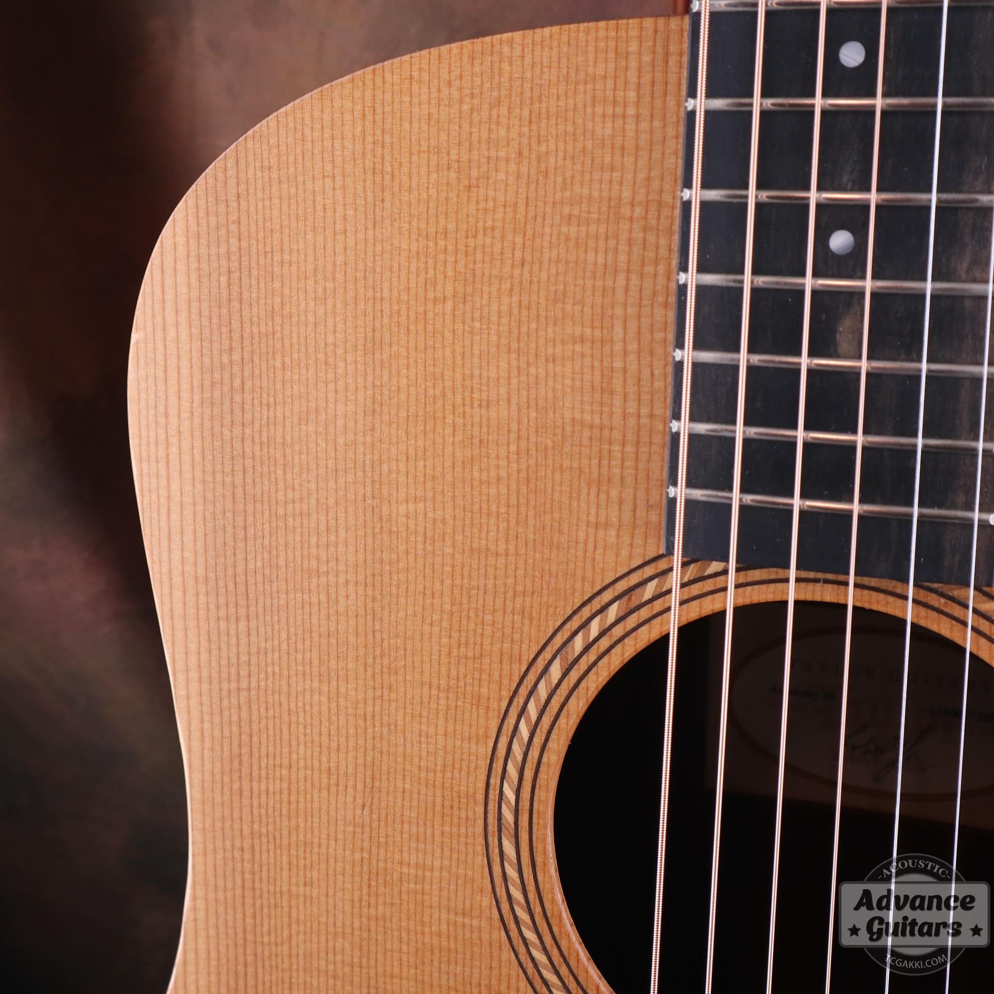 Academy10 - TC楽器 - TCGAKKI