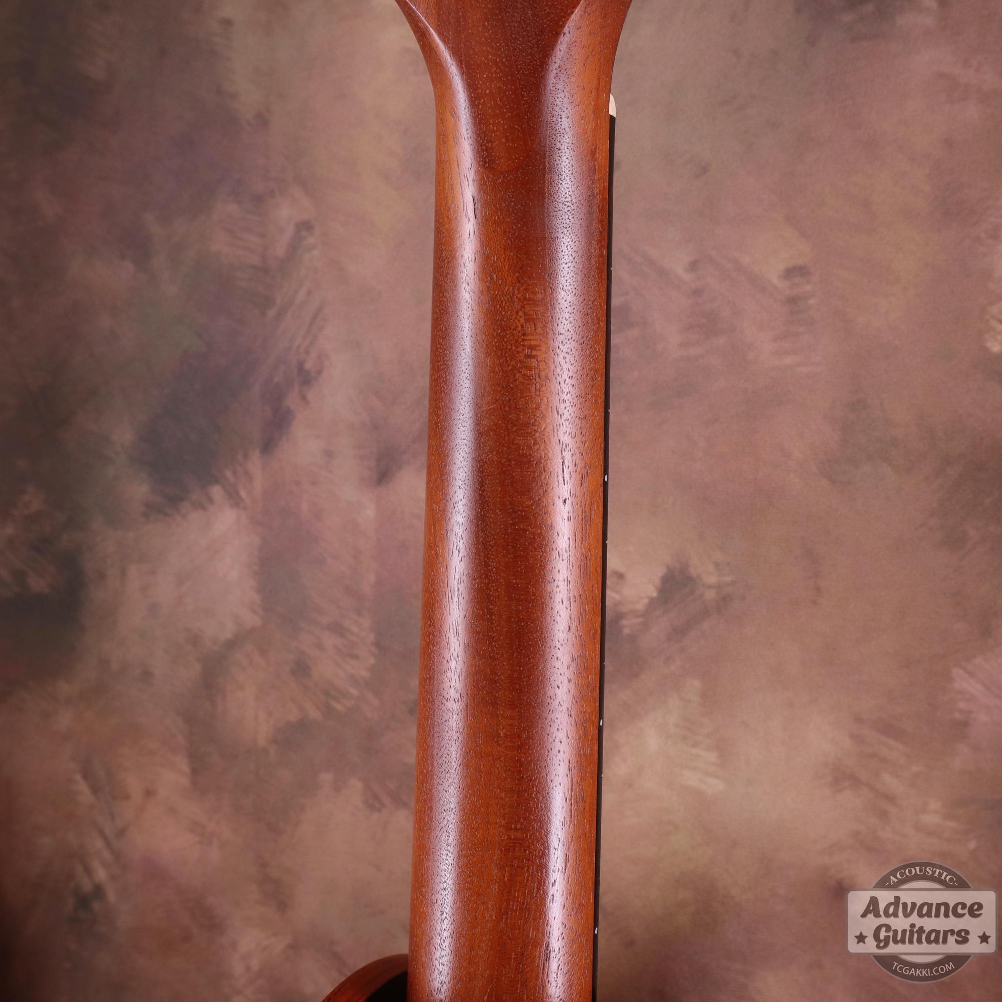 Academy10 - TC楽器 - TCGAKKI