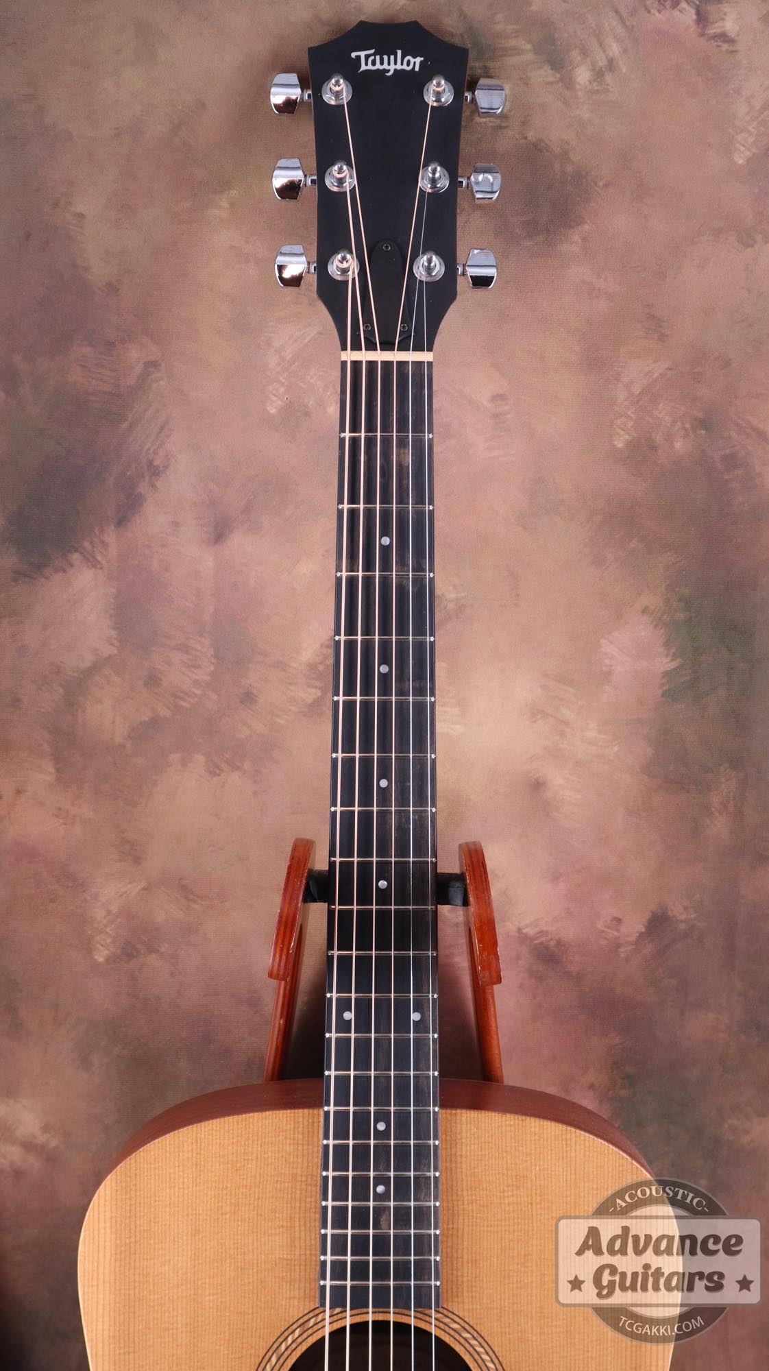 Academy10 - TC楽器 - TCGAKKI