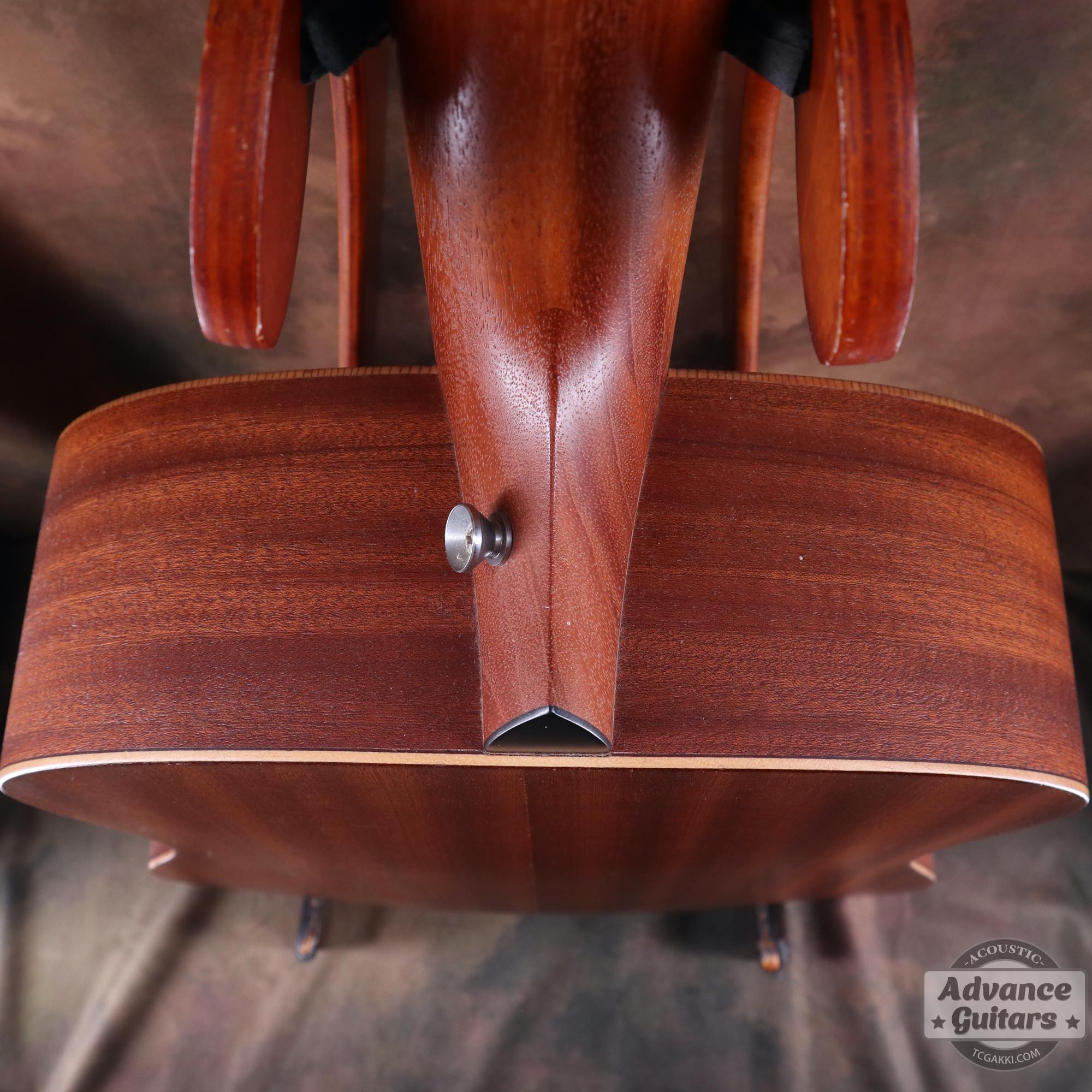 Academy10 - TC楽器 - TCGAKKI