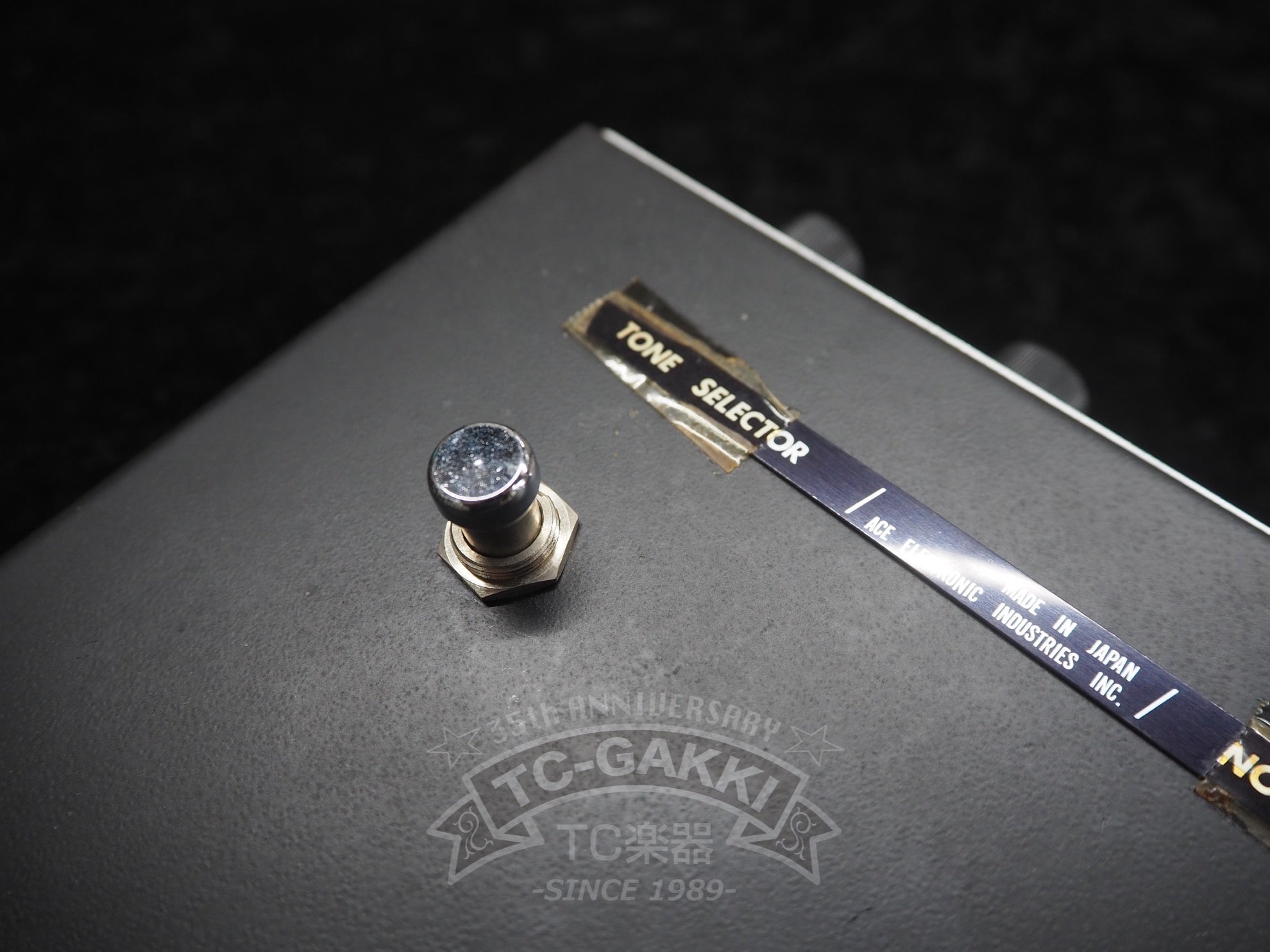 Ace Tone FM-2 FUZZ MASTER Professional (Dead Stock) - TC楽器 - TCGAKKI