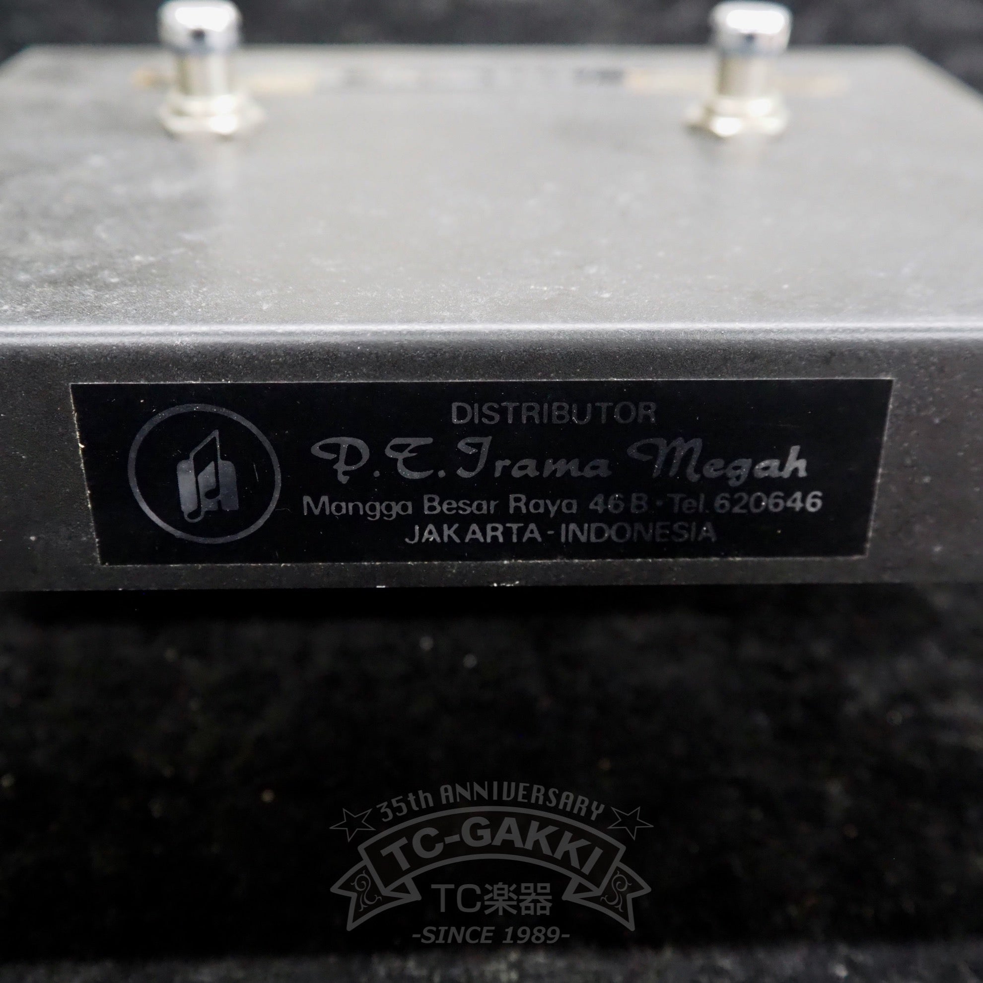 Ace Tone FM-2 FUZZ MASTER Professional (Dead Stock) - TC楽器 - TCGAKKI