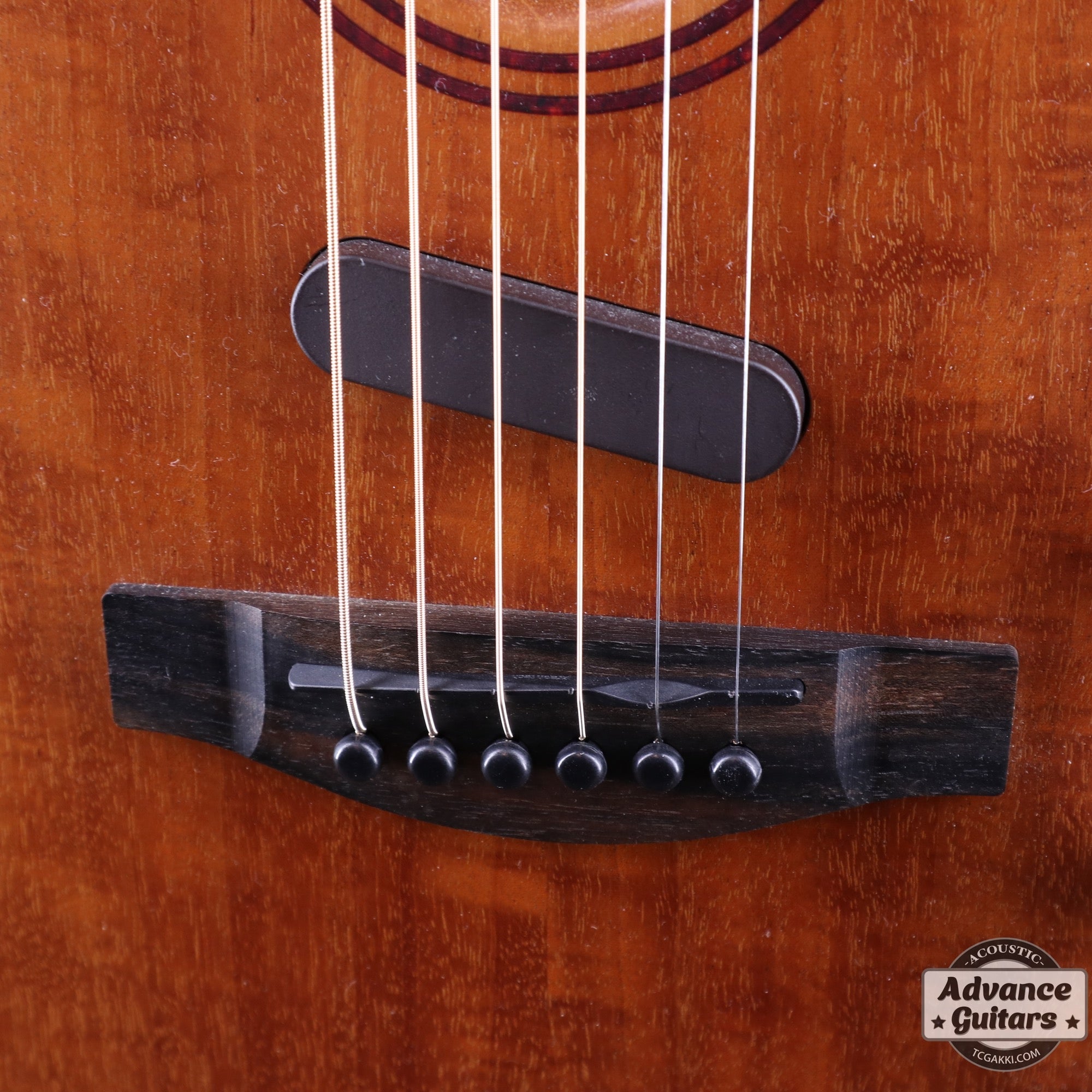 Acoustasonic TL Mahogany - TC楽器 - TCGAKKI