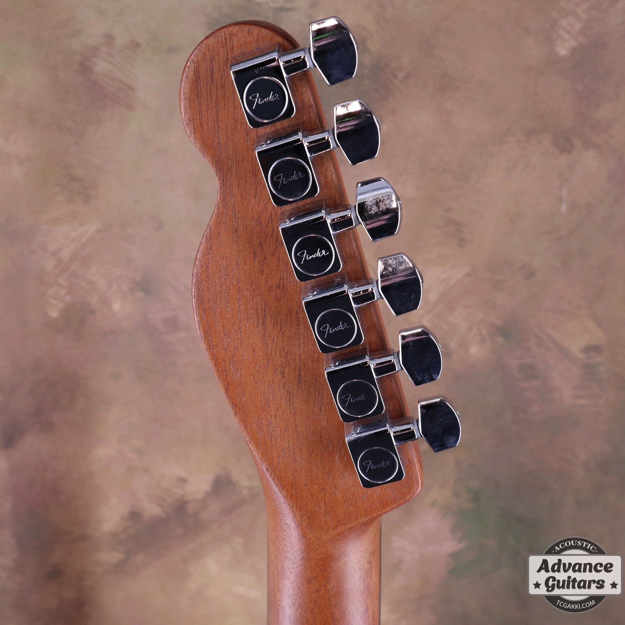 Acoustasonic TL Mahogany - TC楽器 - TCGAKKI