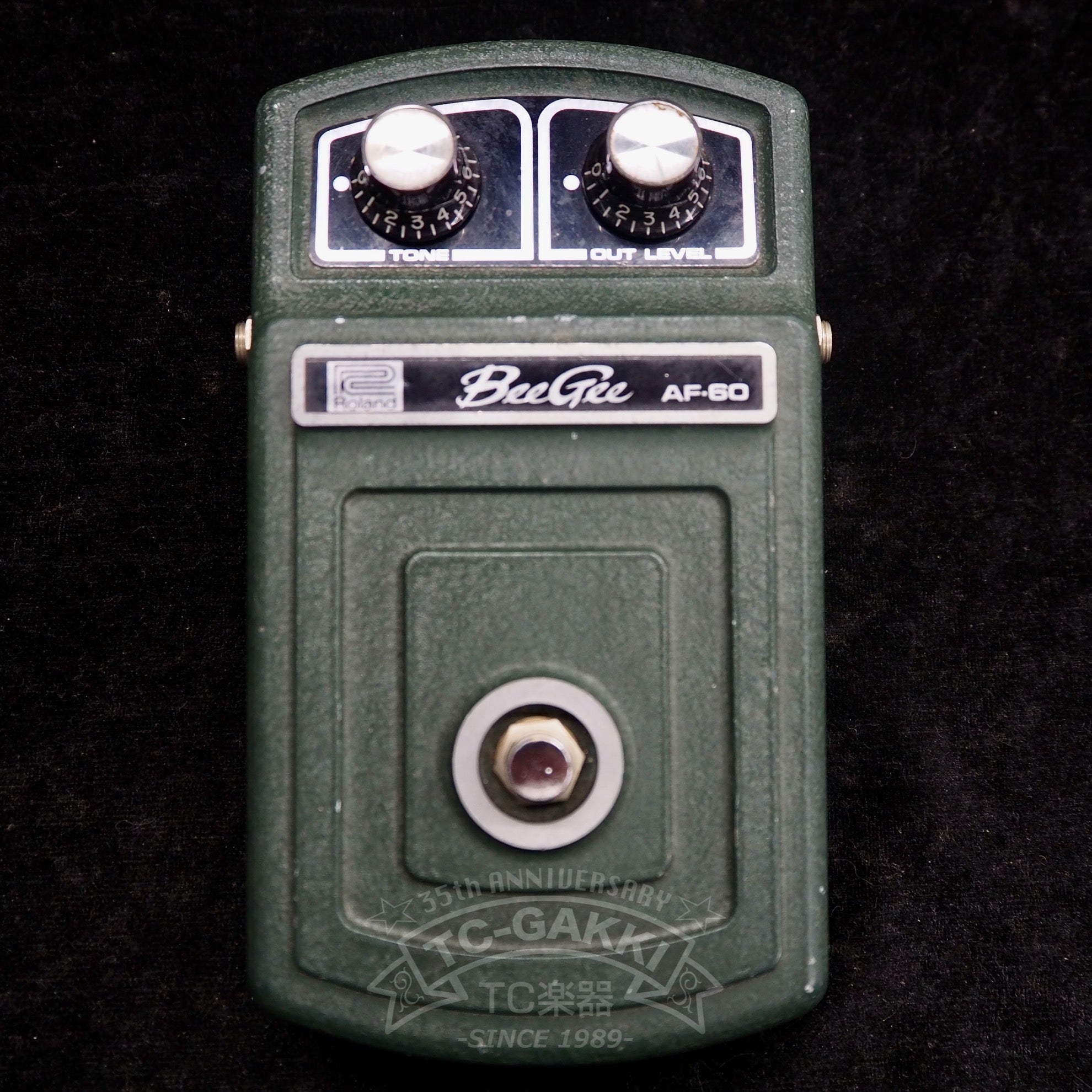 AF - 60 BeeGee - TC楽器 - TCGAKKI