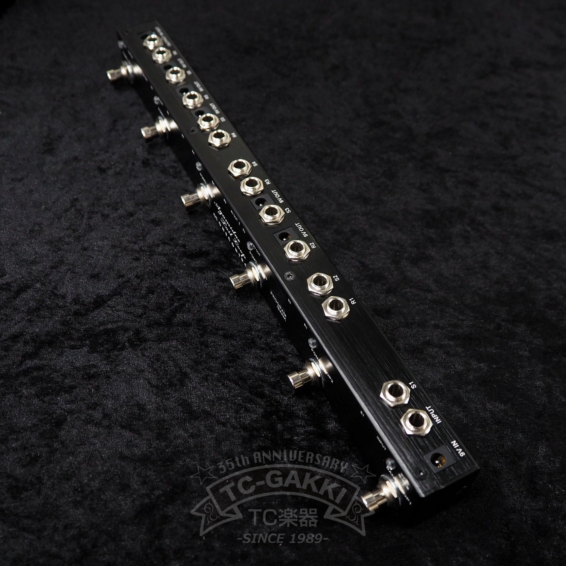 Agamidae Tail Loop - TC楽器 - TCGAKKI