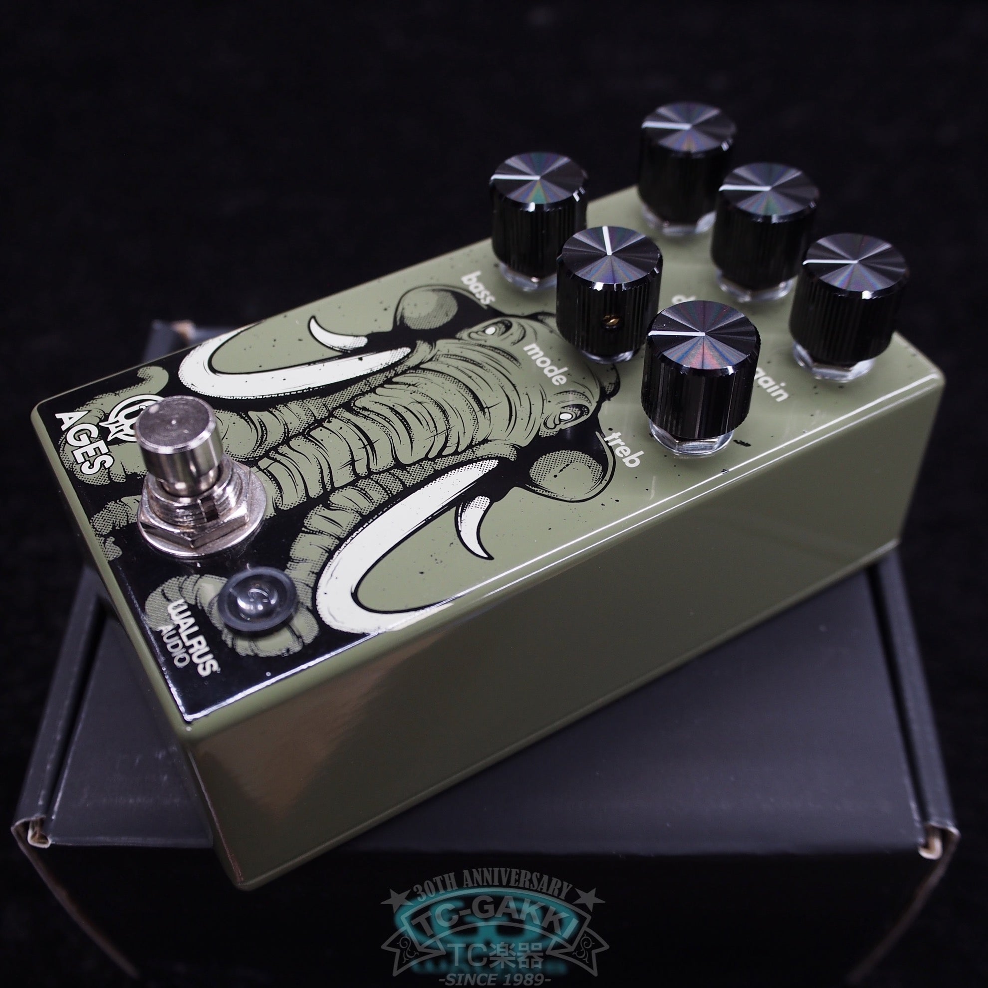 AGES - TC楽器 - TCGAKKI