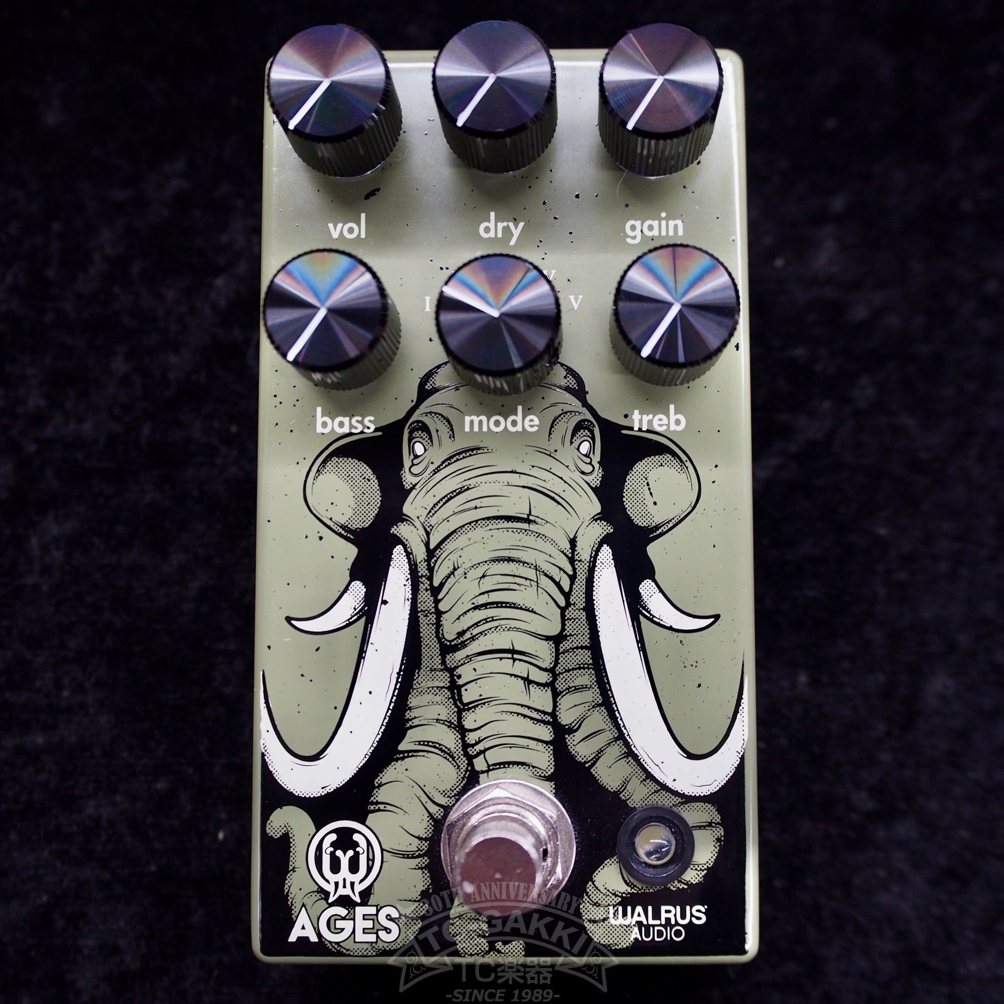 AGES - TC楽器 - TCGAKKI