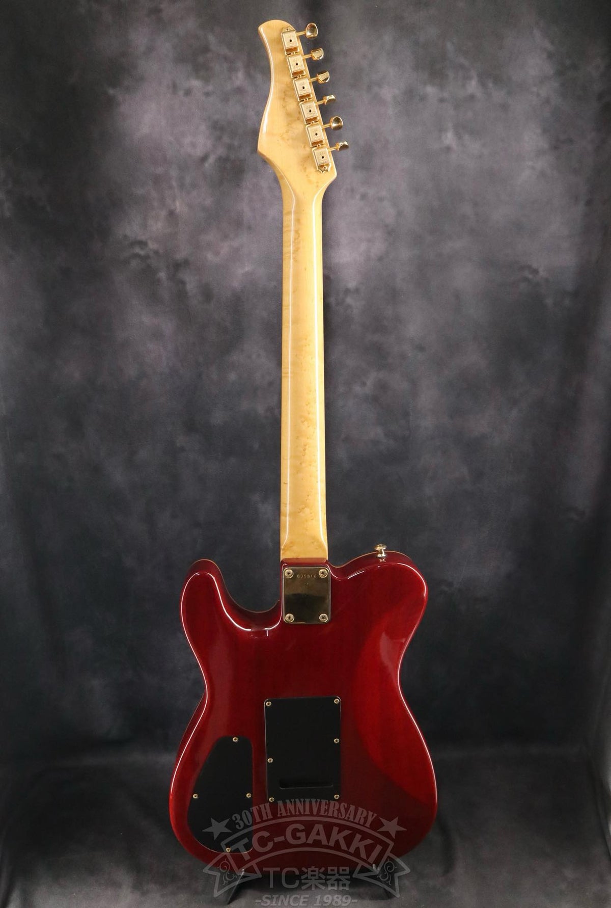 AIRCRAFT AC-5 Singlecut - TC楽器 - TCGAKKI