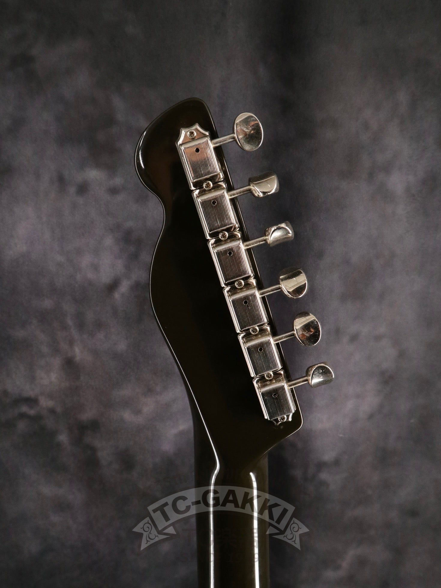 All Rose TL - Type - TC楽器 - TCGAKKI