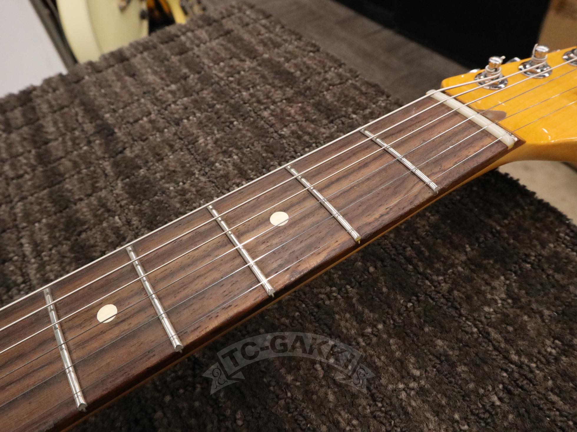 American Professional II Stratocaster - TC楽器 - TCGAKKI