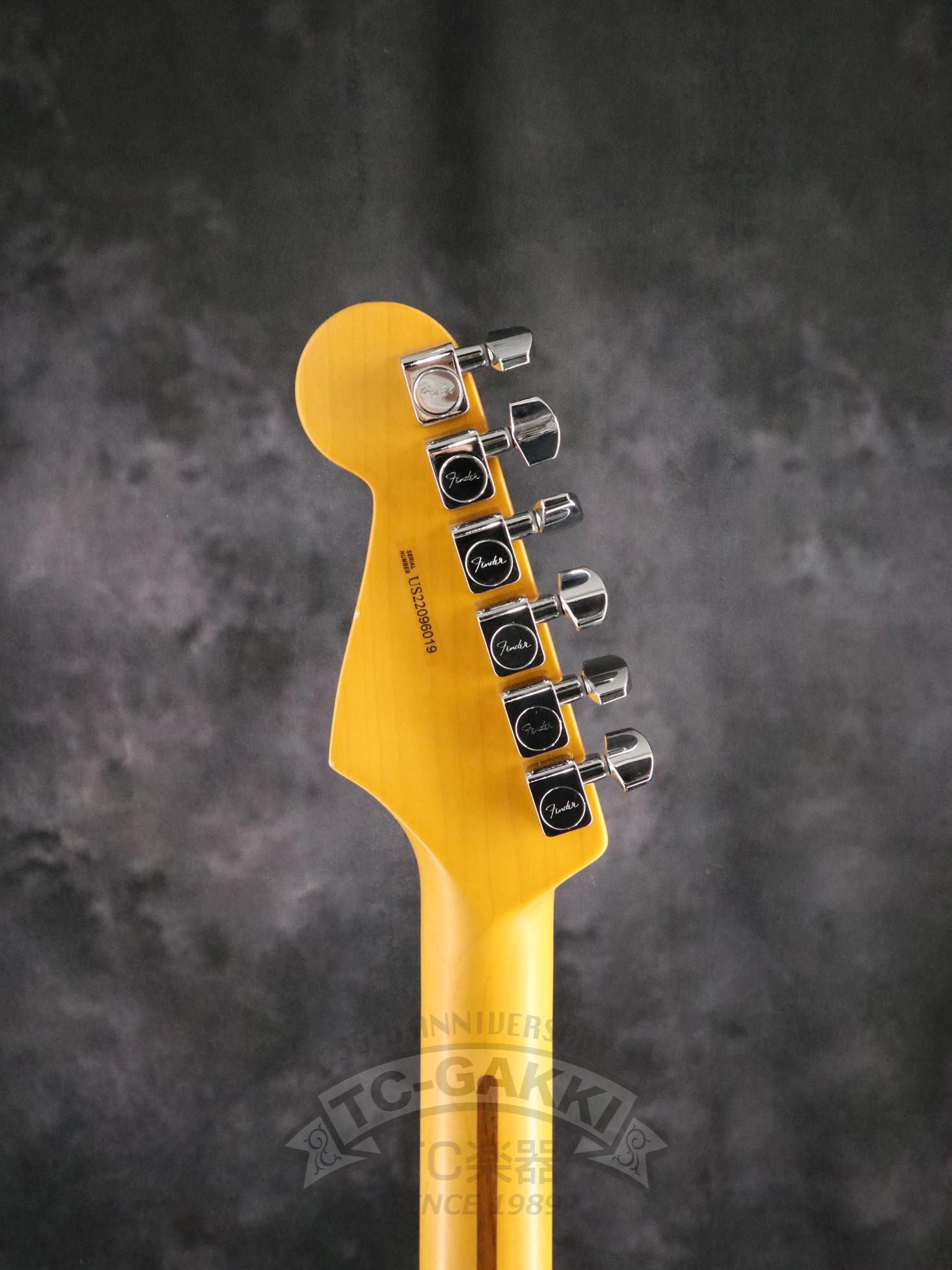 American Professional II Stratocaster - TC楽器 - TCGAKKI