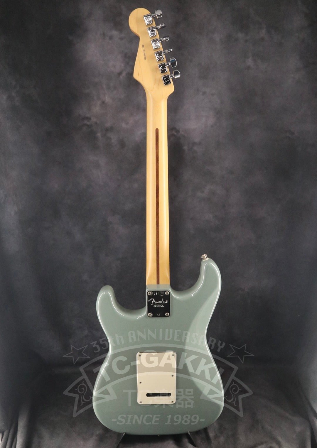 American Professional Stratocaster - TC楽器 - TCGAKKI