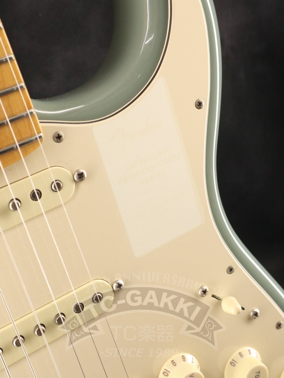 American Professional Stratocaster - TC楽器 - TCGAKKI