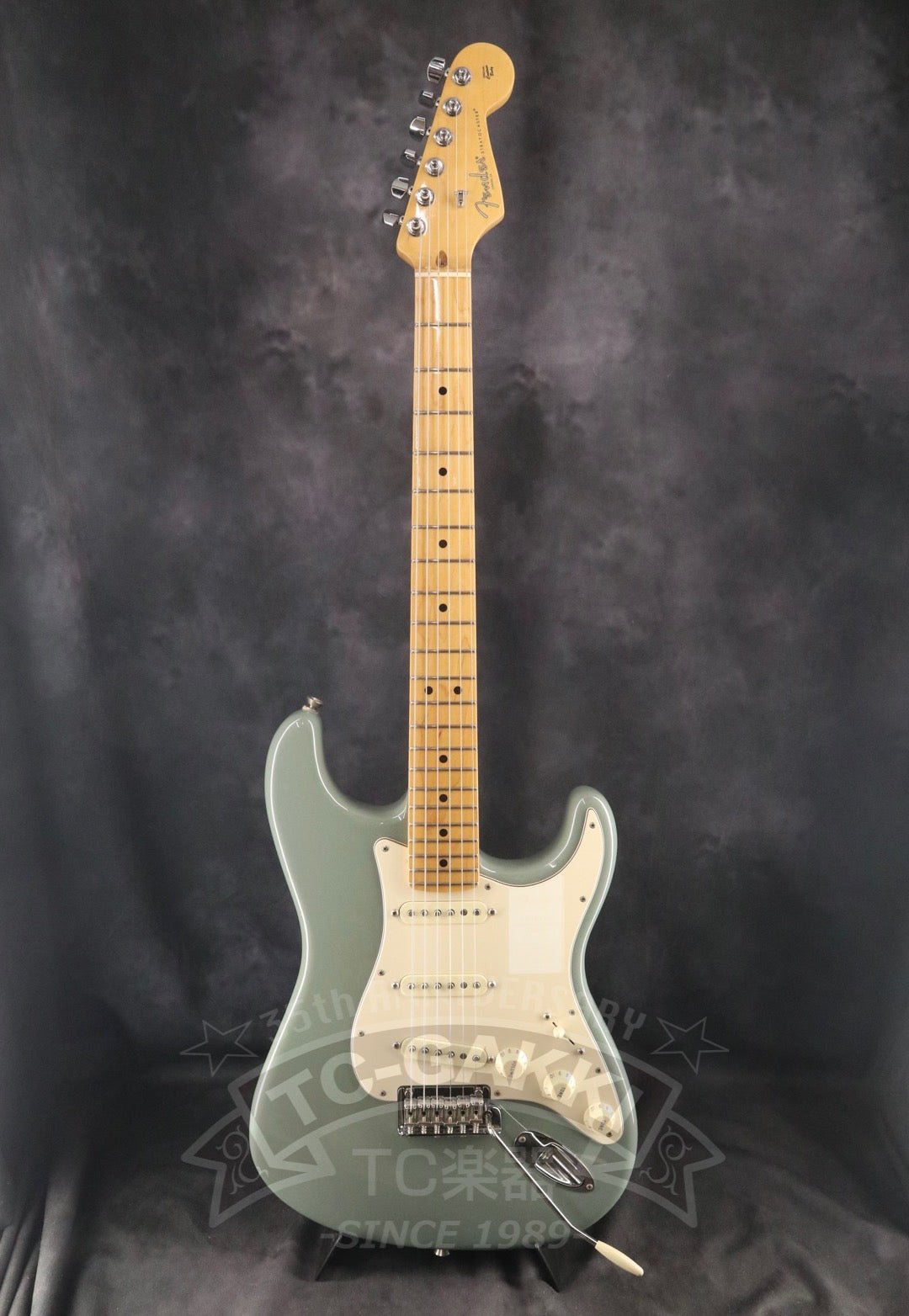 American Professional Stratocaster - TC楽器 - TCGAKKI