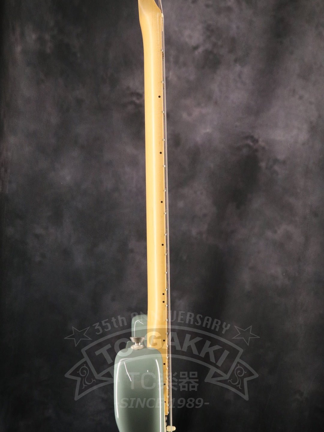 American Professional Stratocaster - TC楽器 - TCGAKKI