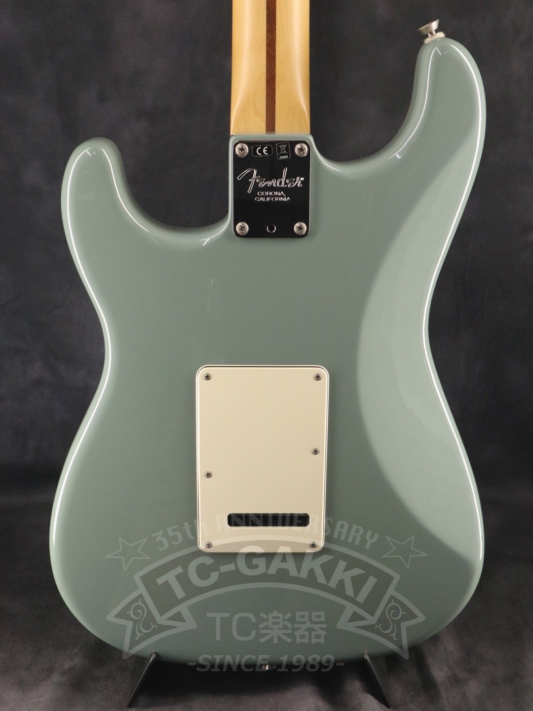 American Professional Stratocaster - TC楽器 - TCGAKKI