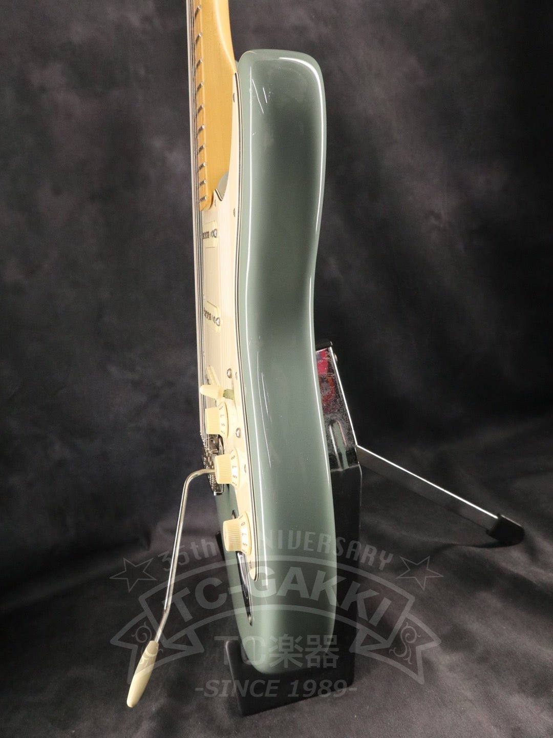 American Professional Stratocaster - TC楽器 - TCGAKKI