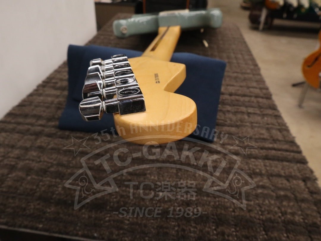 American Professional Stratocaster - TC楽器 - TCGAKKI