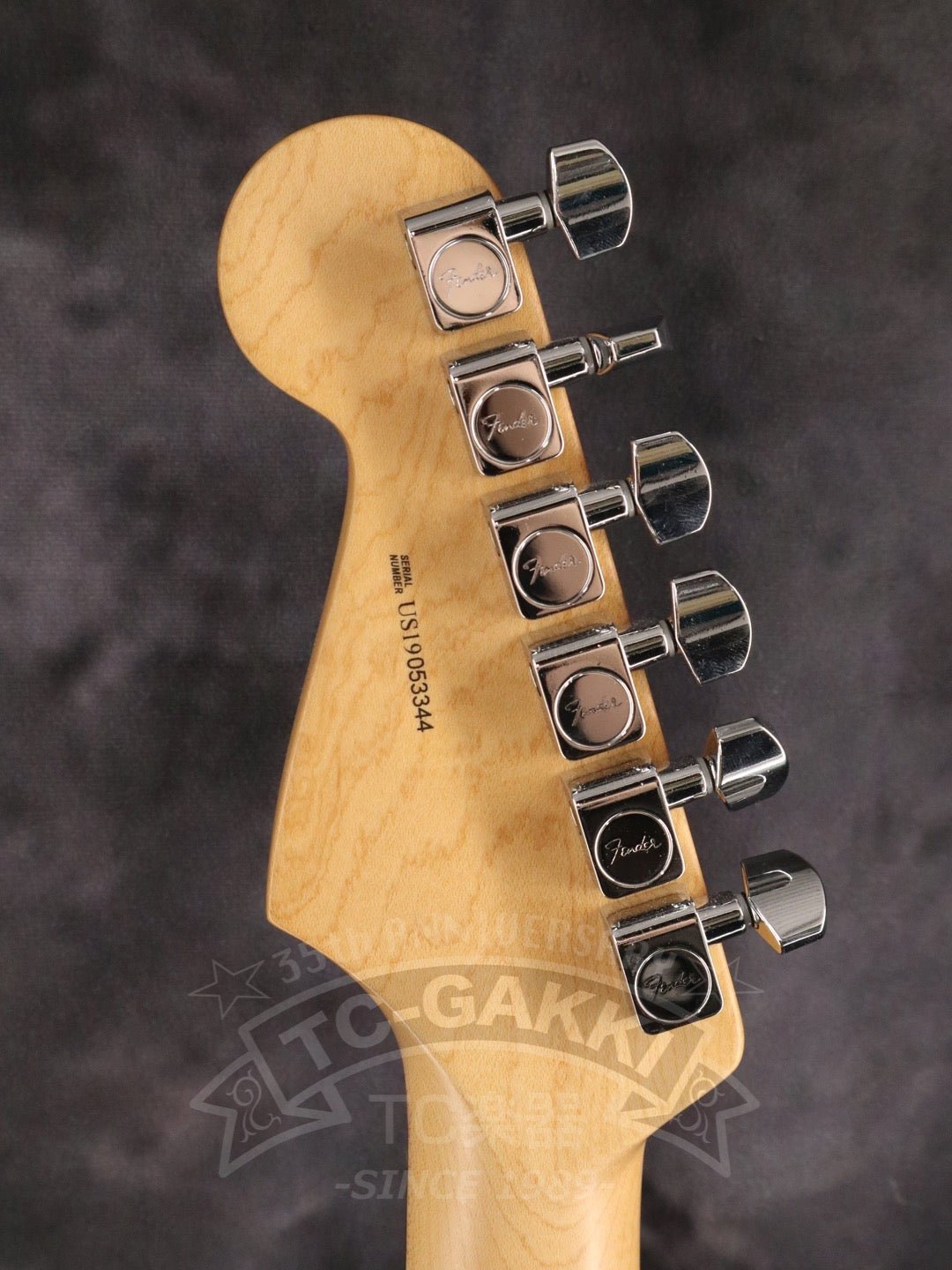 American professional Stratocaster HSS - TC楽器 - TCGAKKI