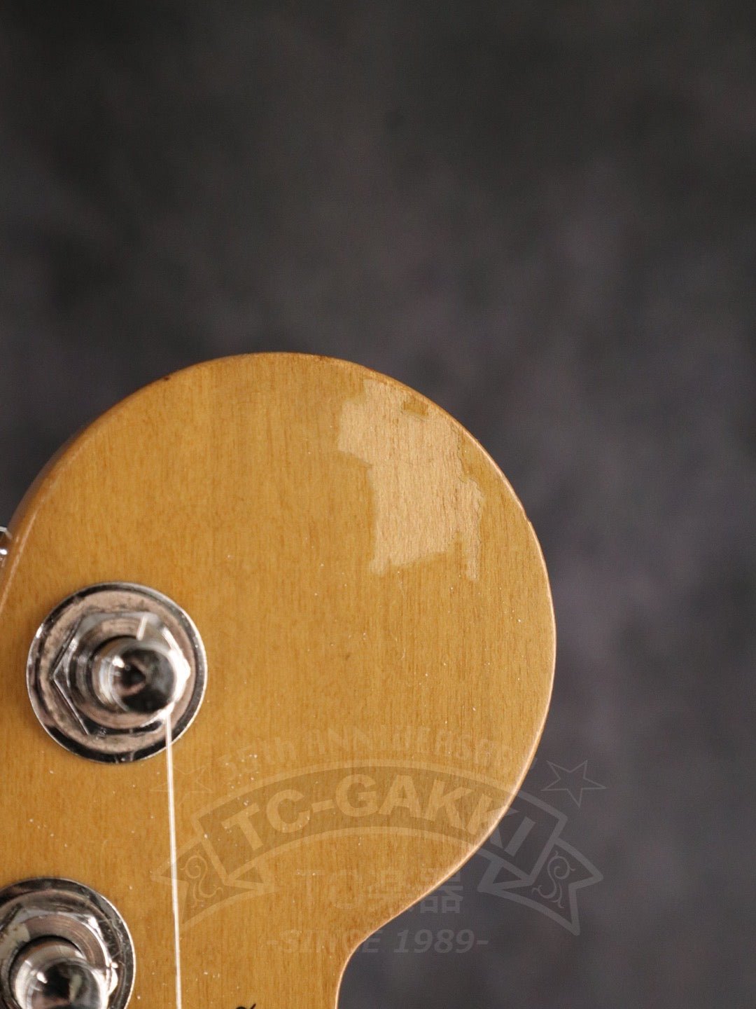 American Standard Stratocaster - TC楽器 - TCGAKKI