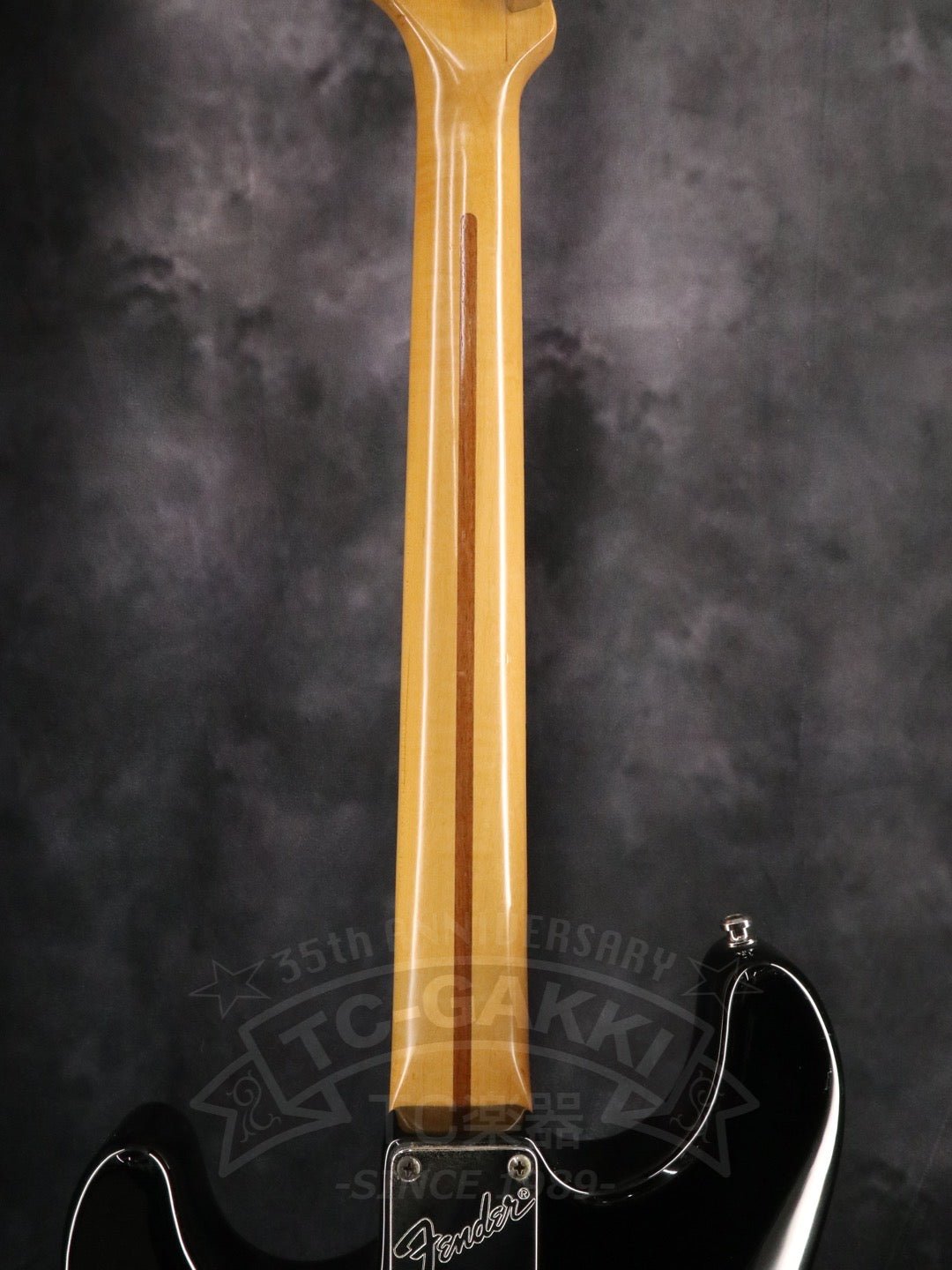 American Standard Stratocaster - TC楽器 - TCGAKKI