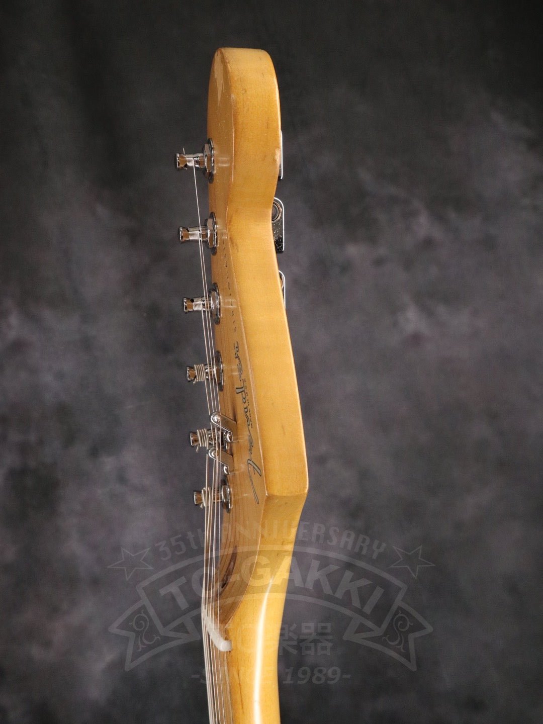American Standard Stratocaster - TC楽器 - TCGAKKI