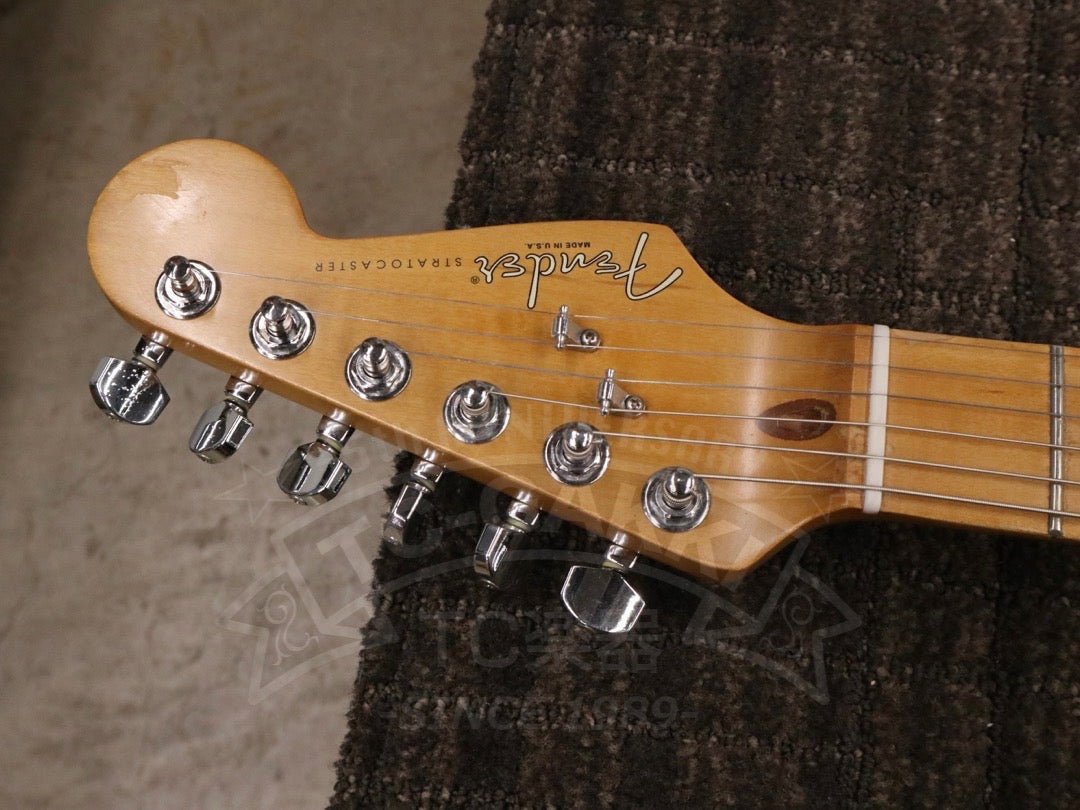 American Standard Stratocaster - TC楽器 - TCGAKKI