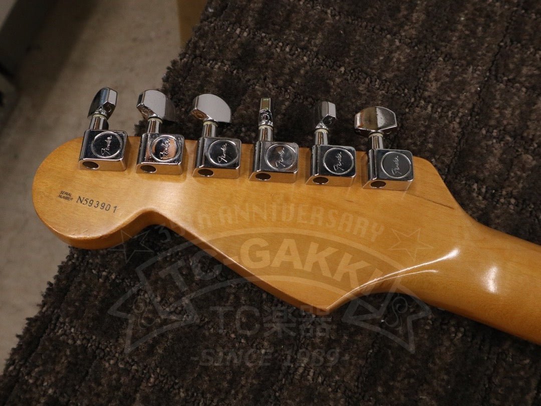 American Standard Stratocaster - TC楽器 - TCGAKKI
