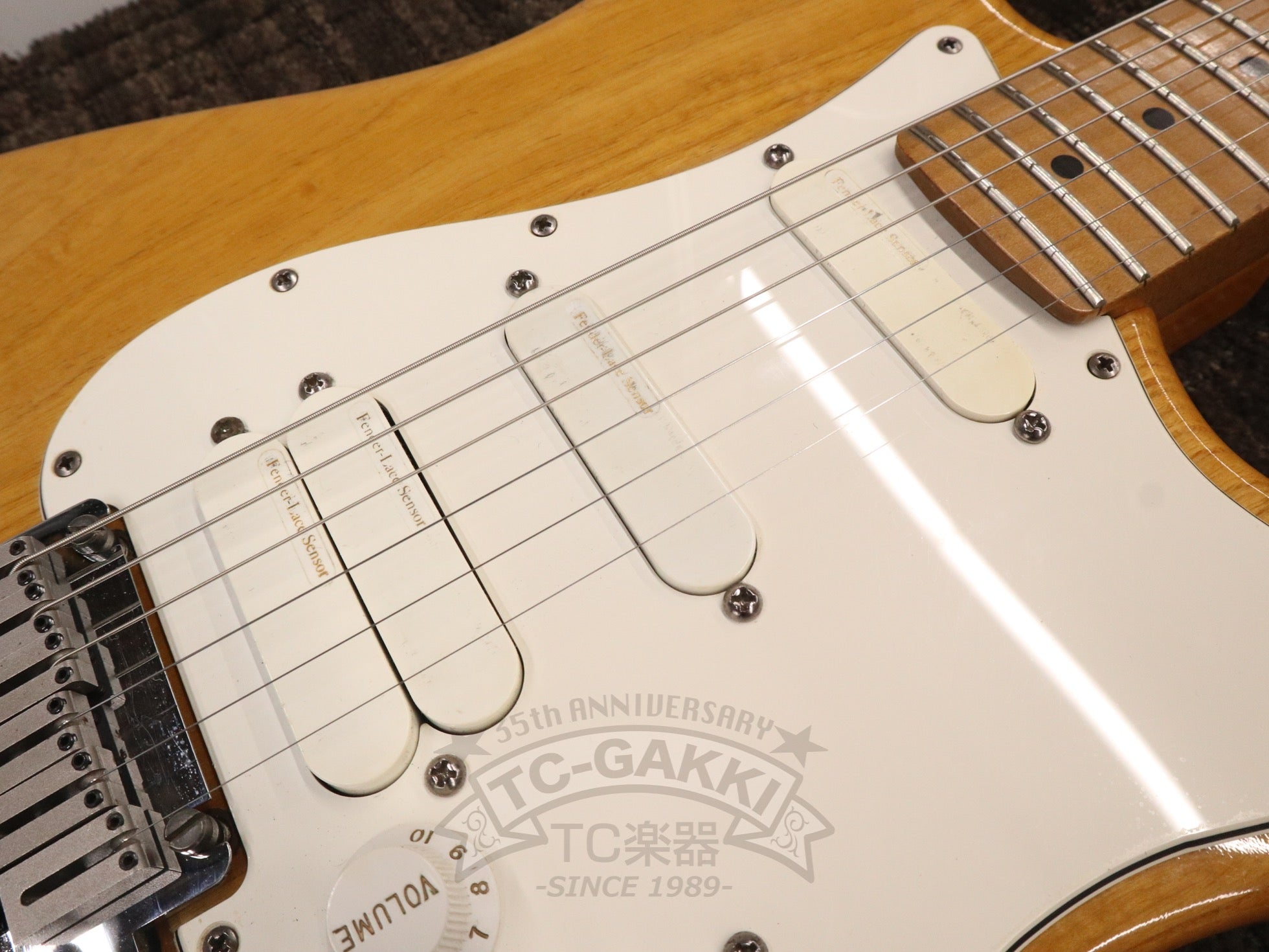 American Standard Stratocaster Mod - TC楽器 - TCGAKKI